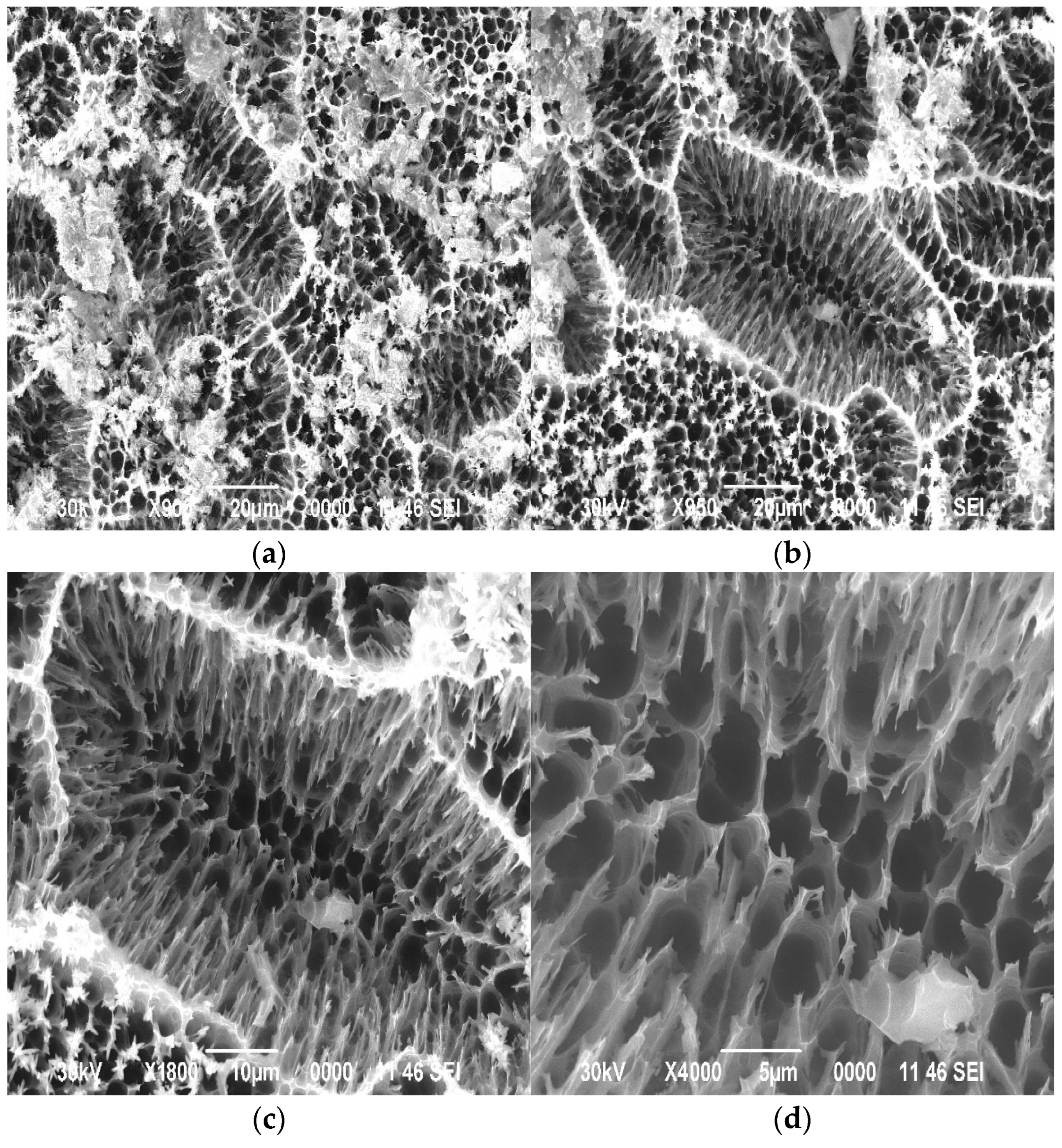 Processes 13 02099 g007