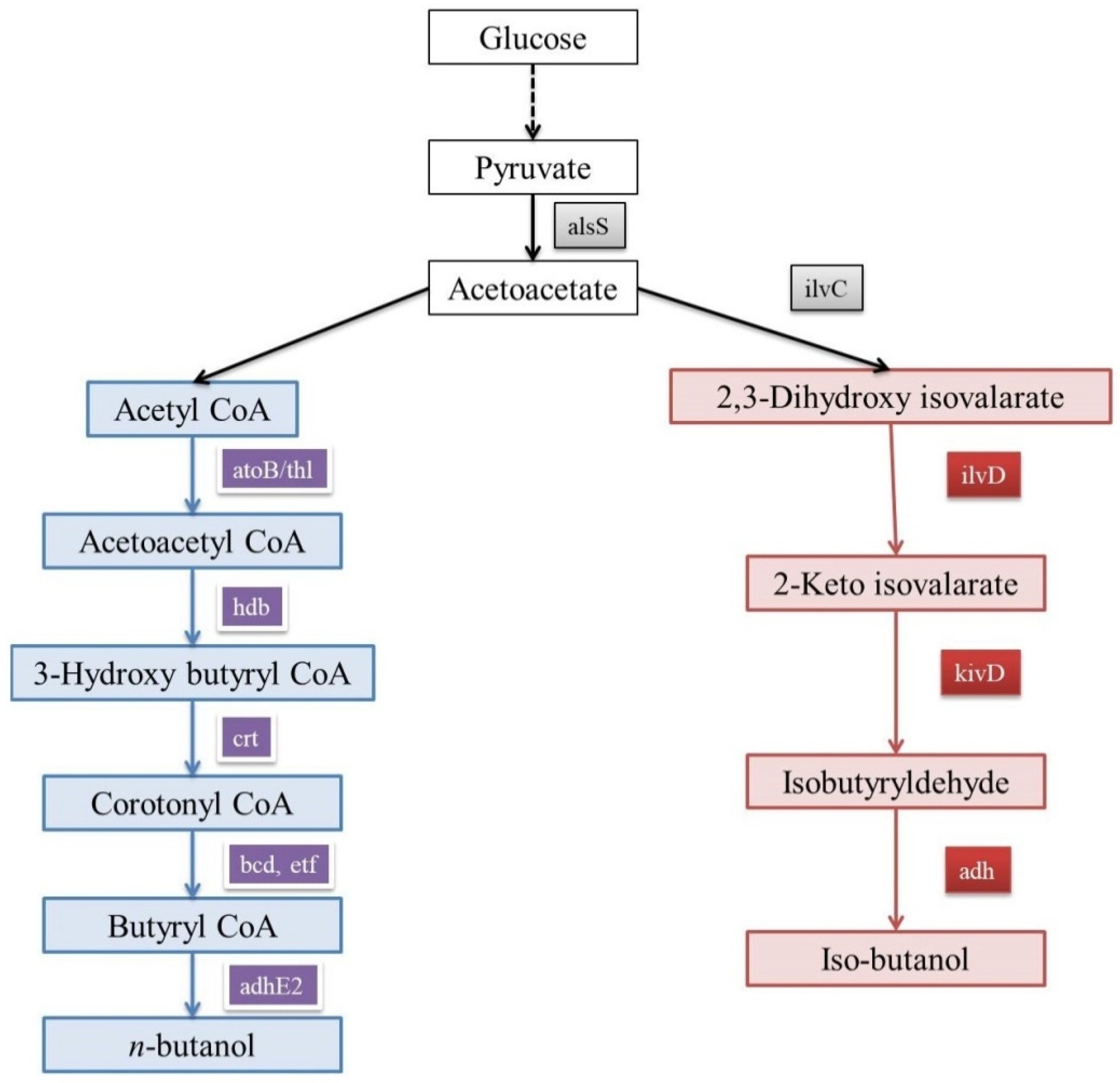Processes 13 02115 g001