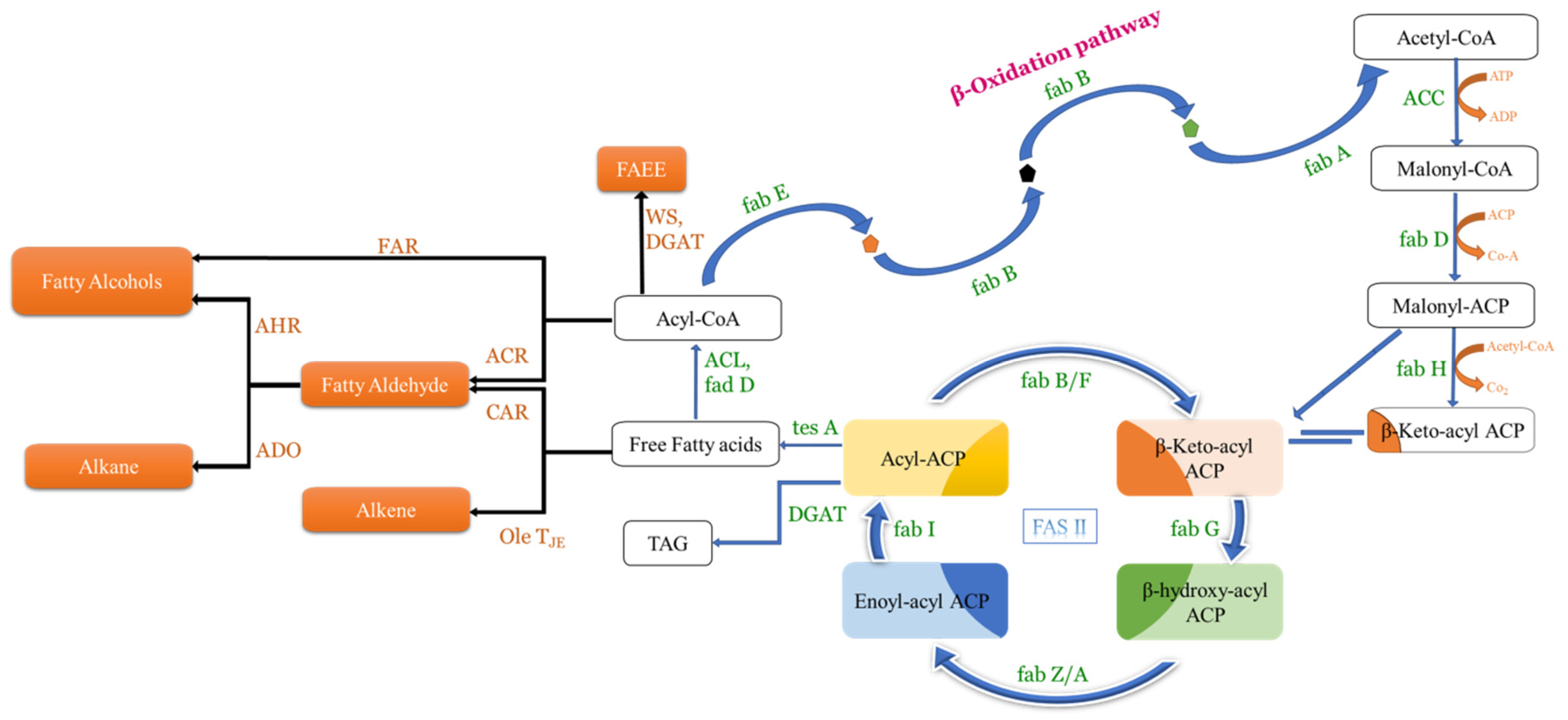 Processes 13 02115 g003