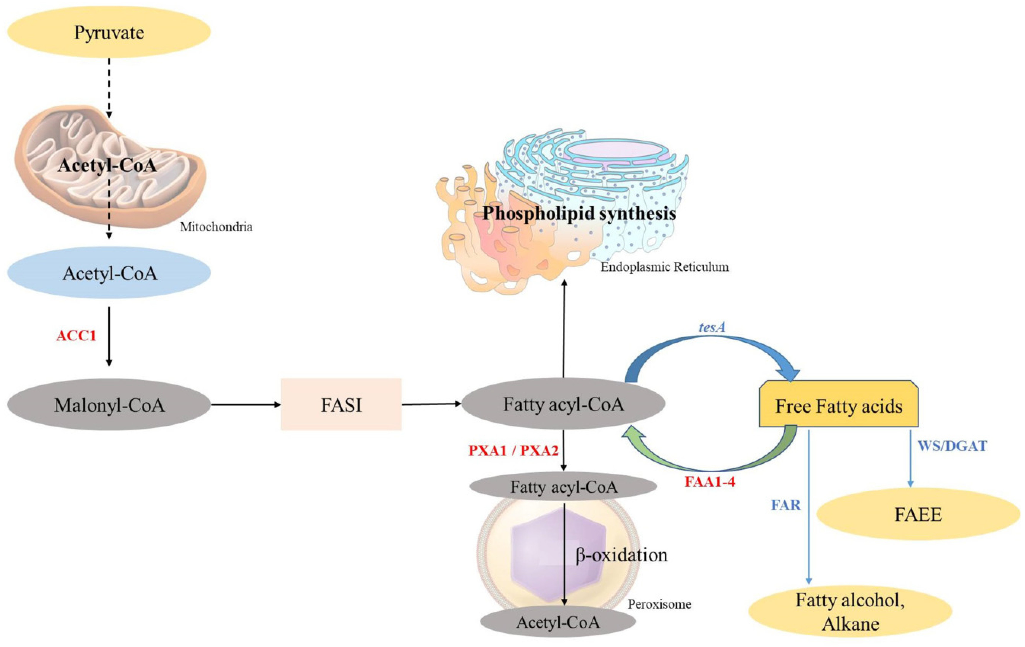 Processes 13 02115 g004
