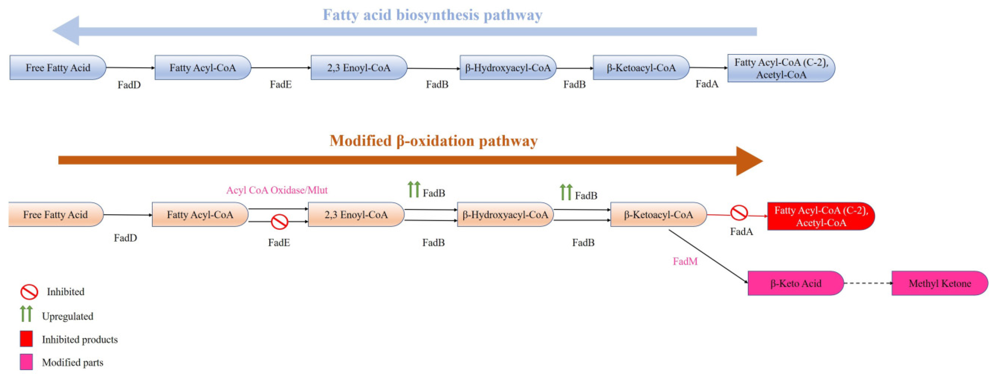 Processes 13 02115 g005