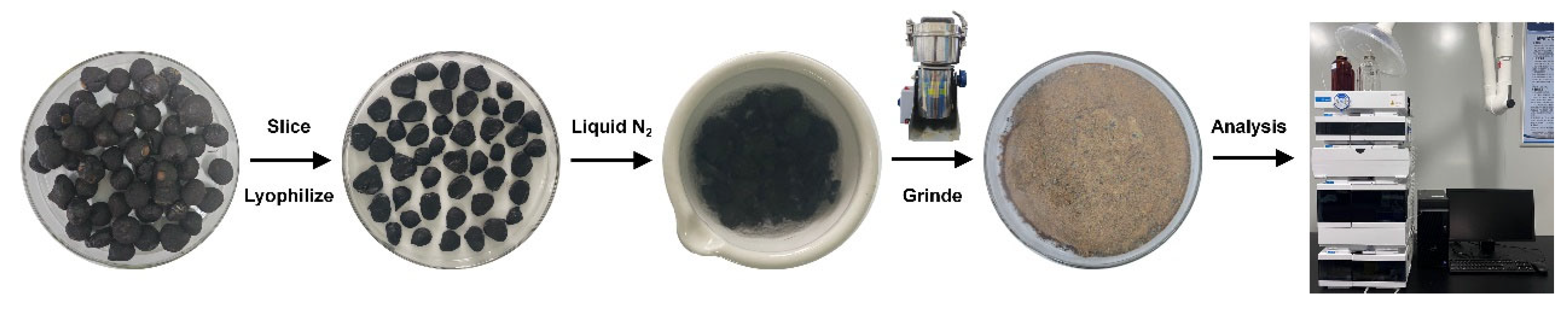 Processes 13 02133 g003