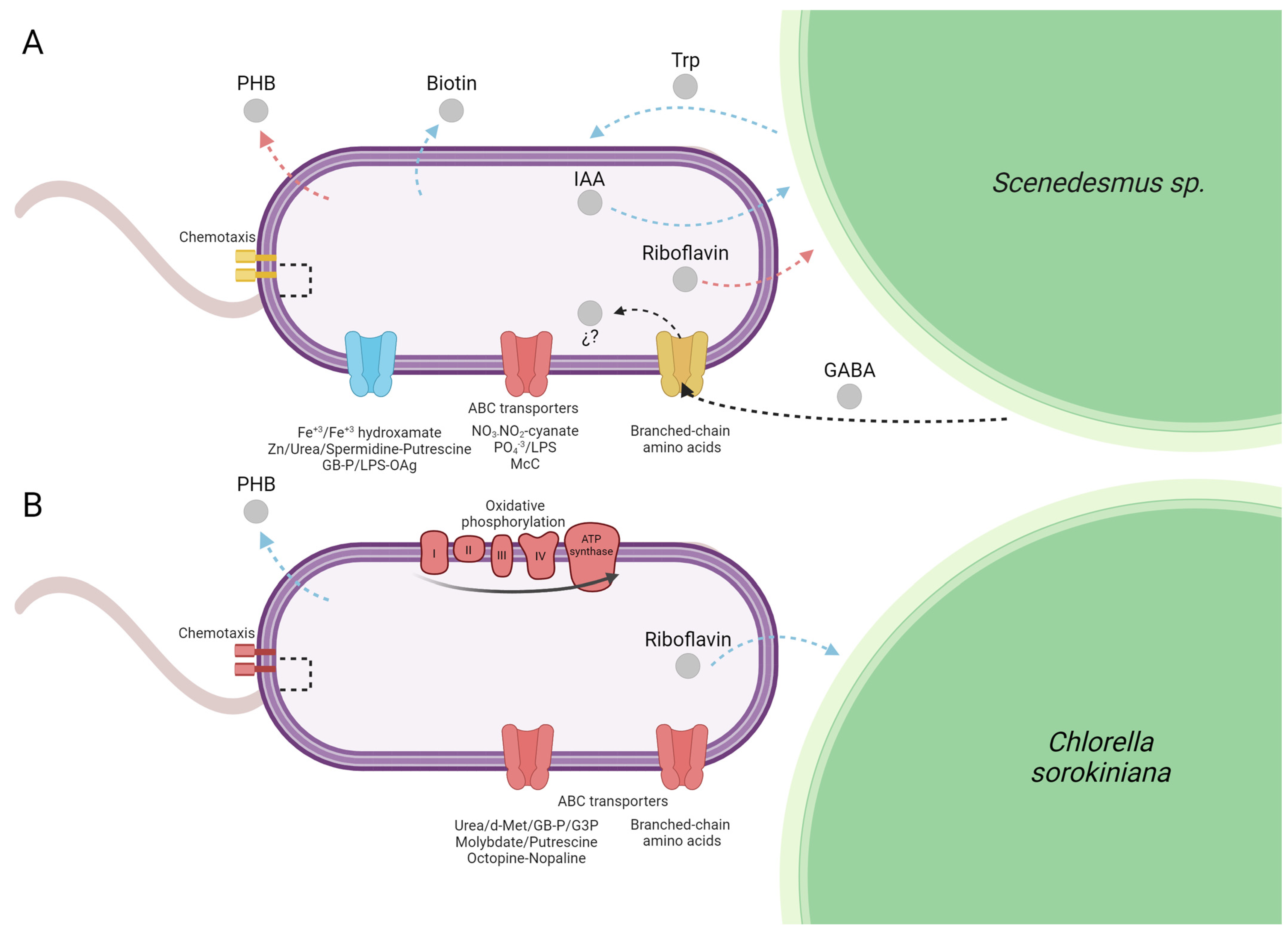 Processes 13 02177 g005 Processes 13 02177 g005