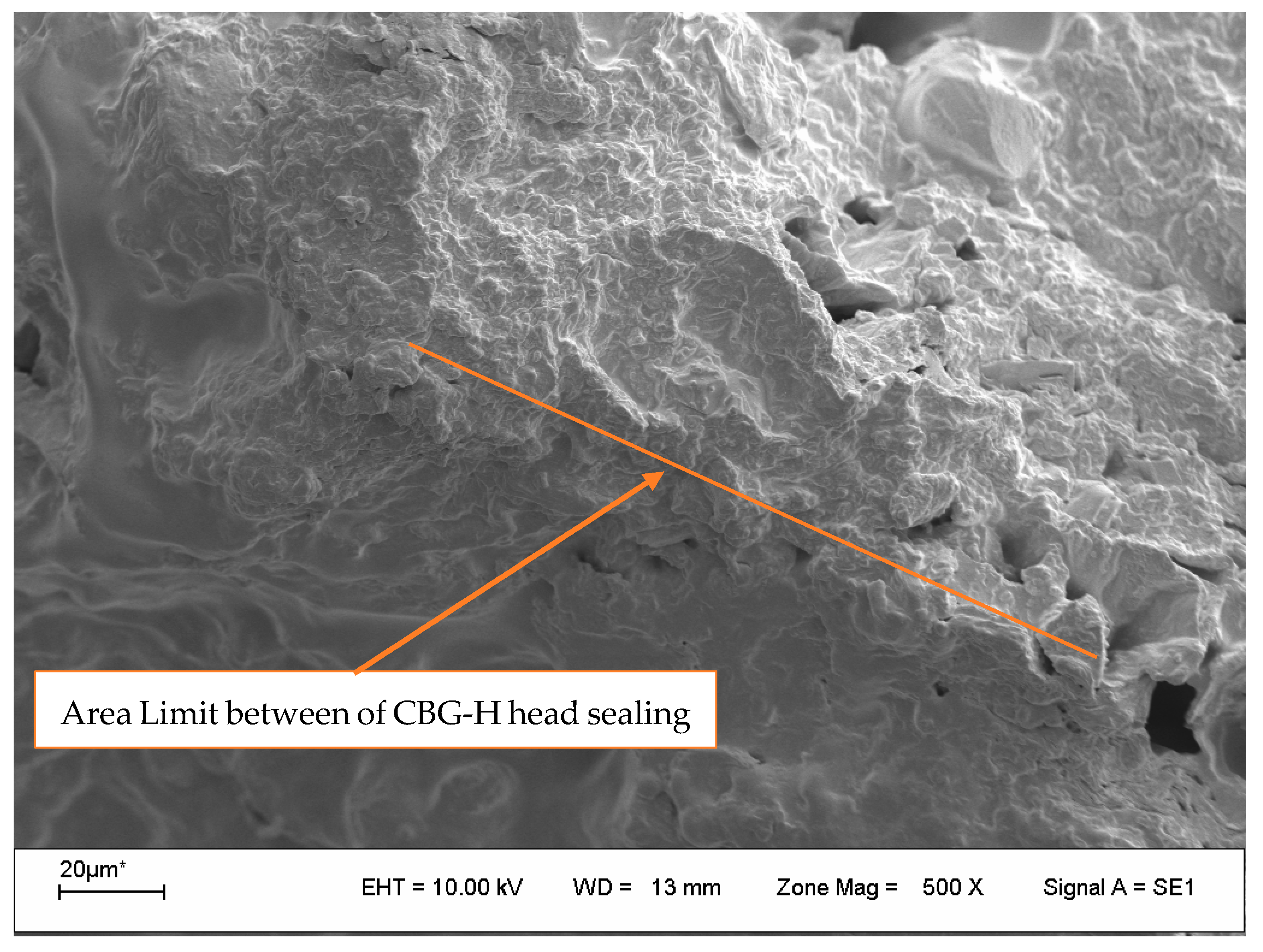 Processes 13 02189 g005 Processes 13 02189 g005