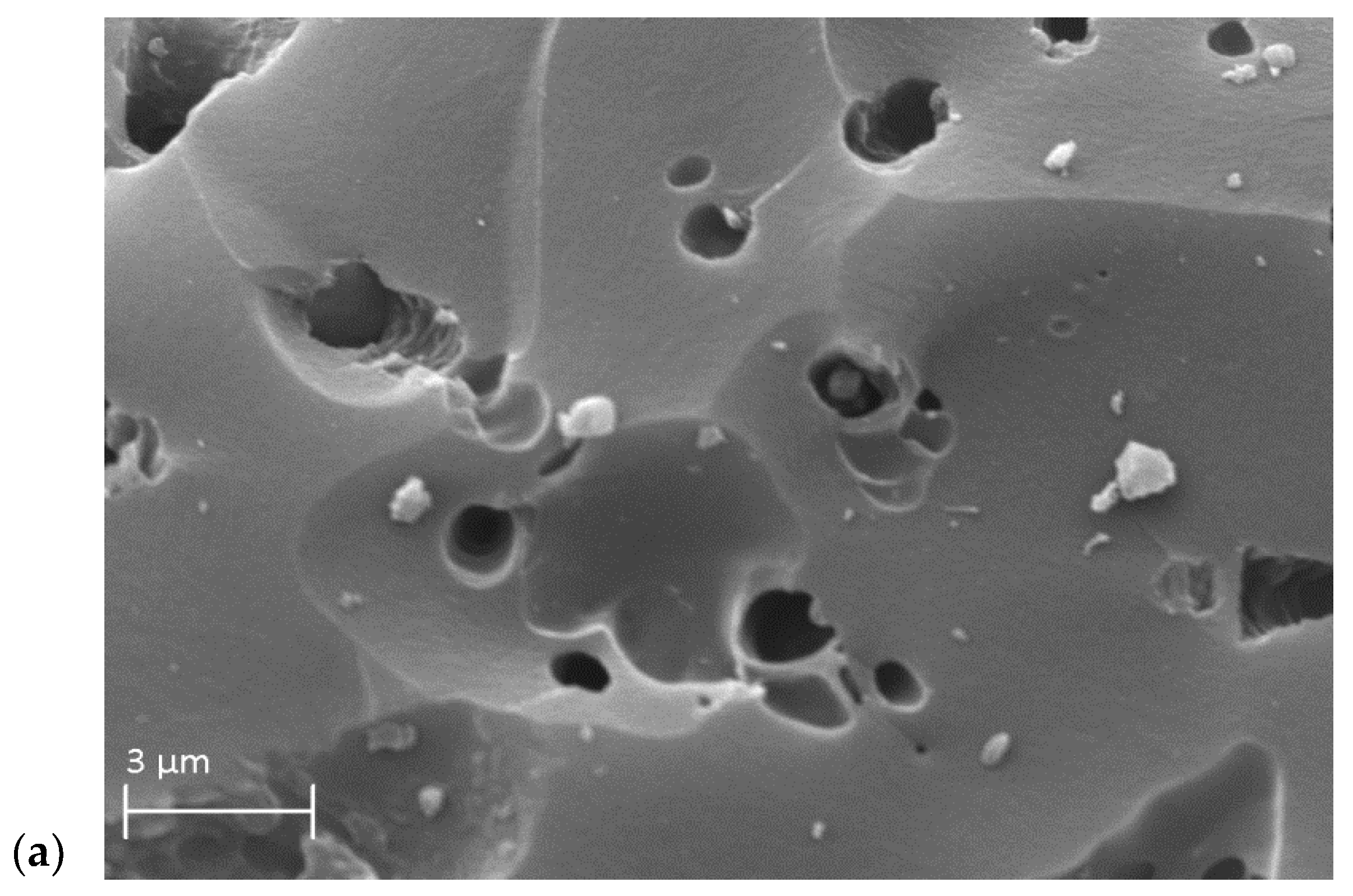 Processes 13 02198 g002a