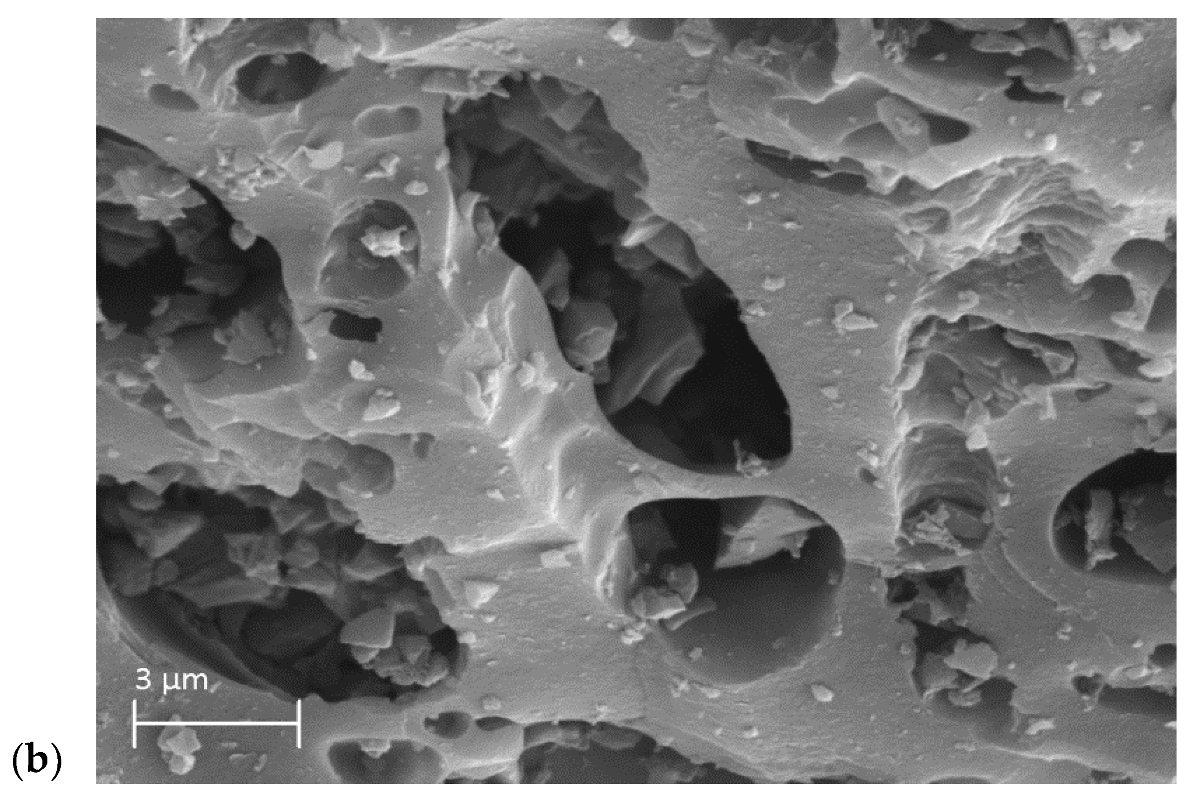 Processes 13 02198 g002b