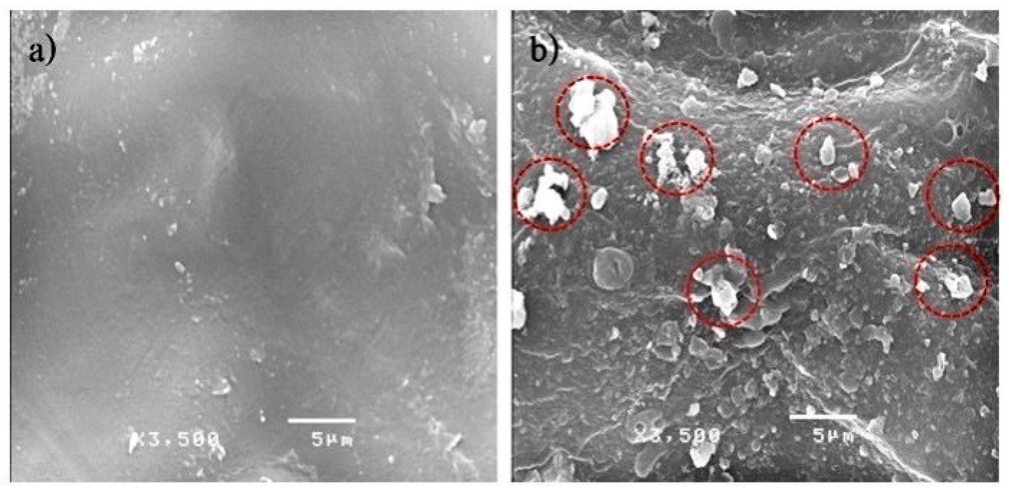 Processes 13 02207 g006