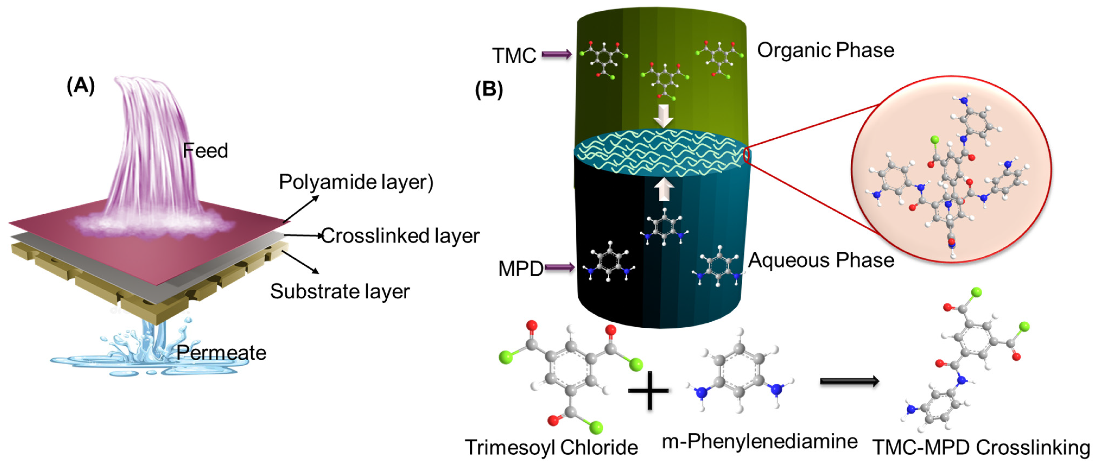 Processes 13 02212 g002