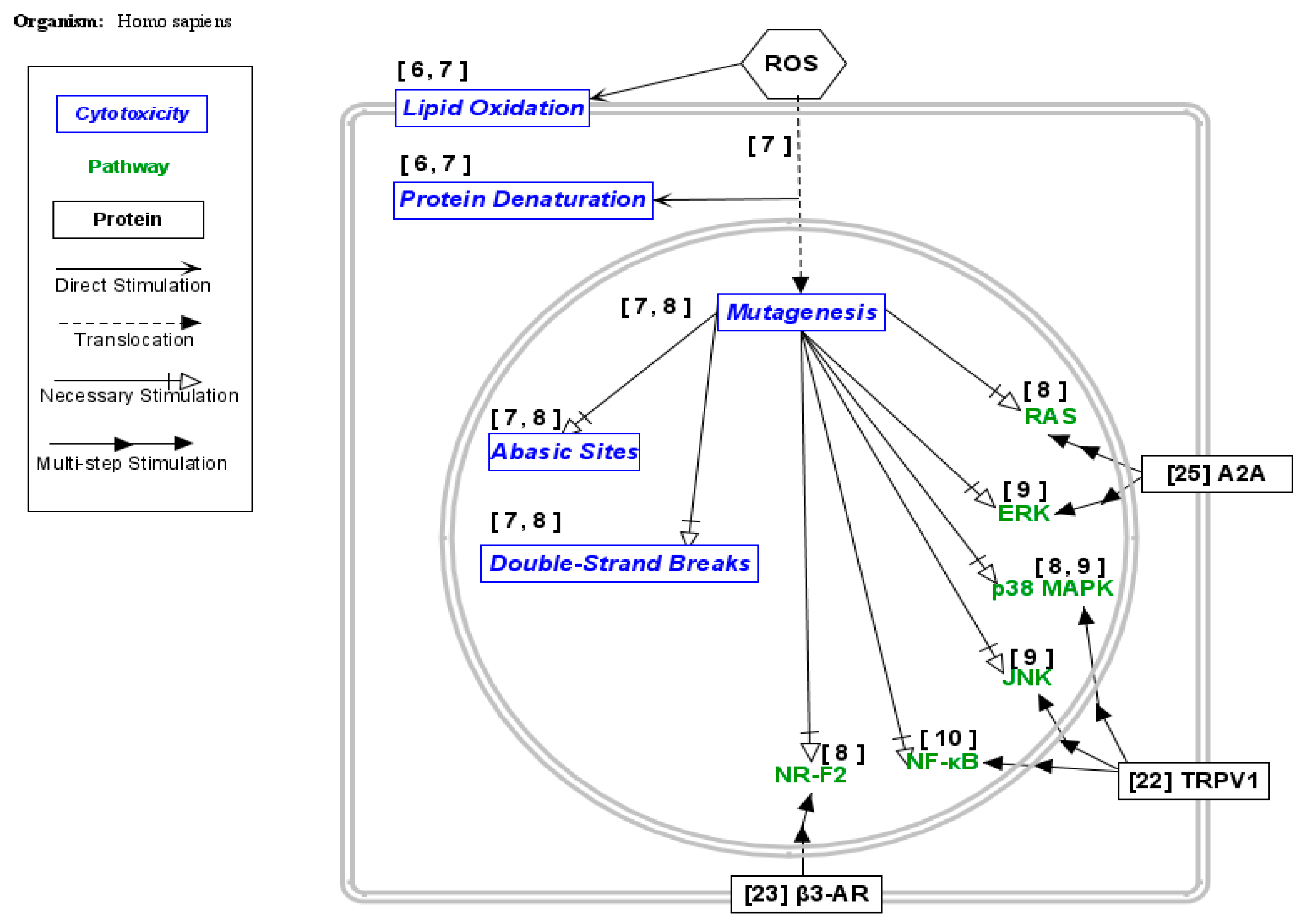Processes 13 02290 g001