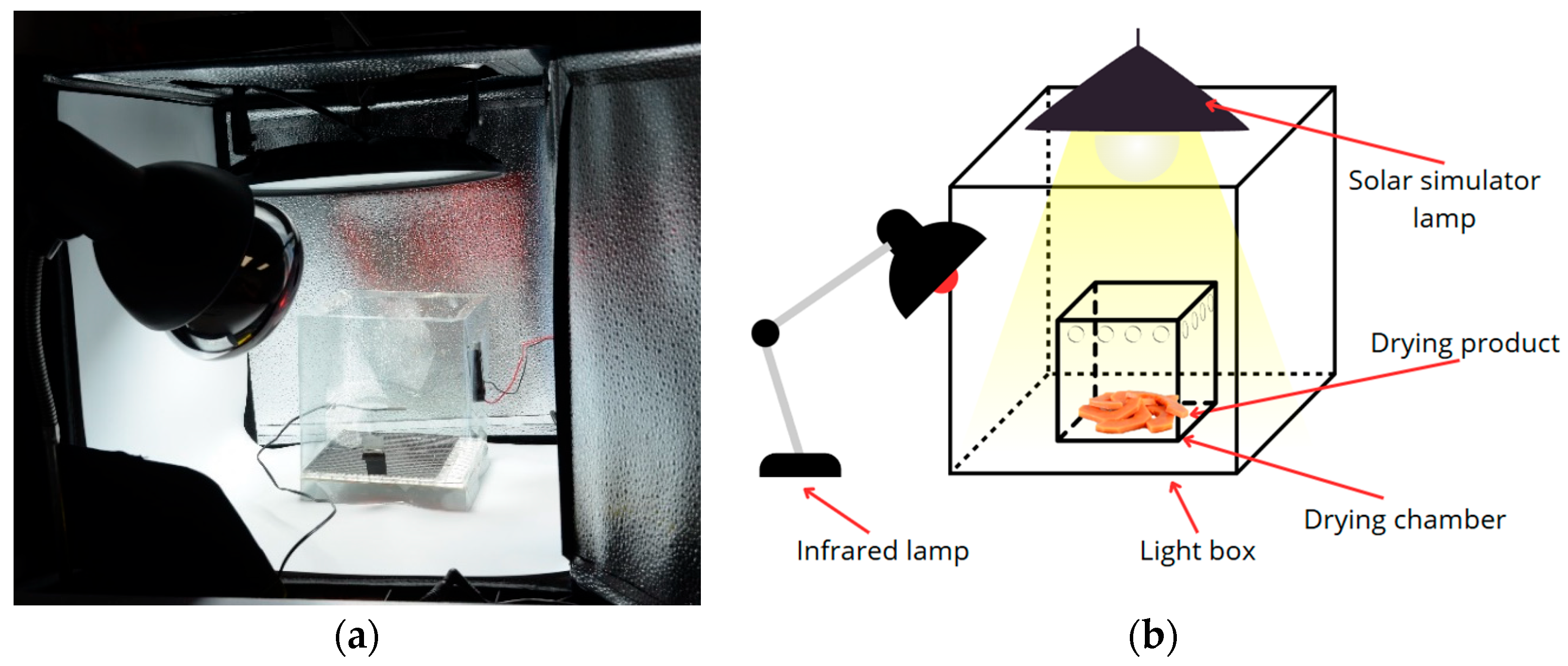 Processes 13 02311 g002