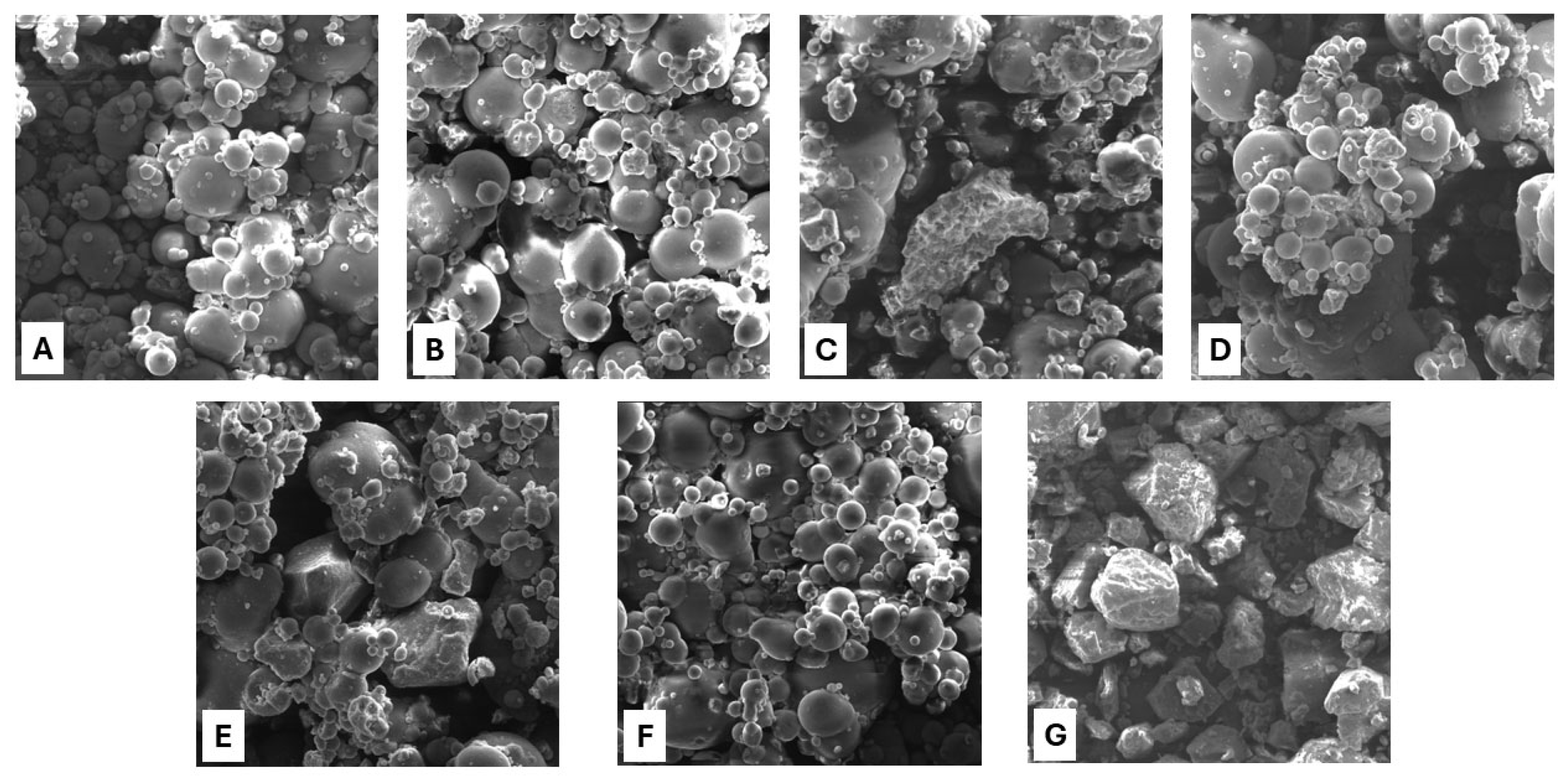 Processes 13 02324 g002