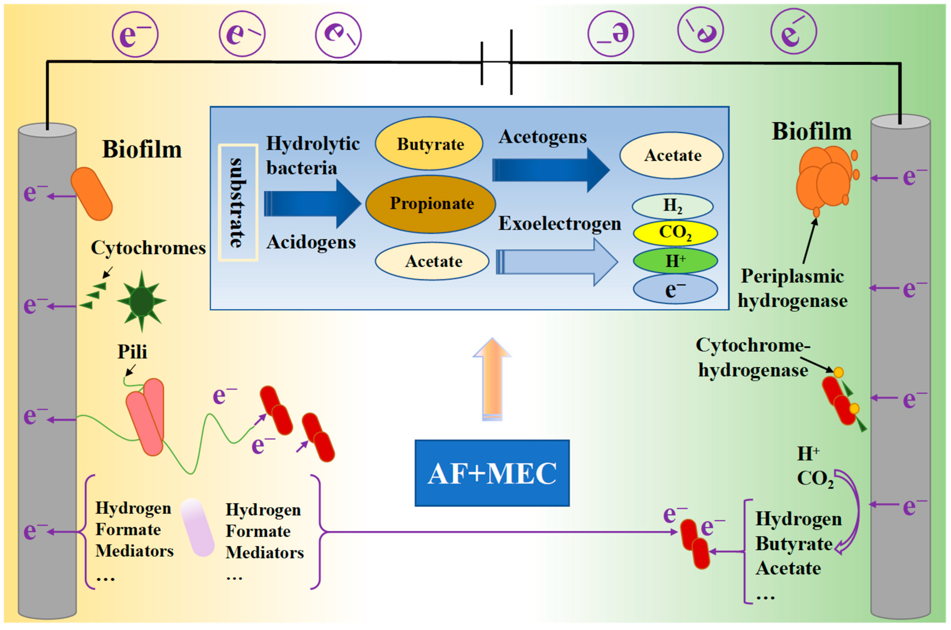 Processes 13 02343 g006