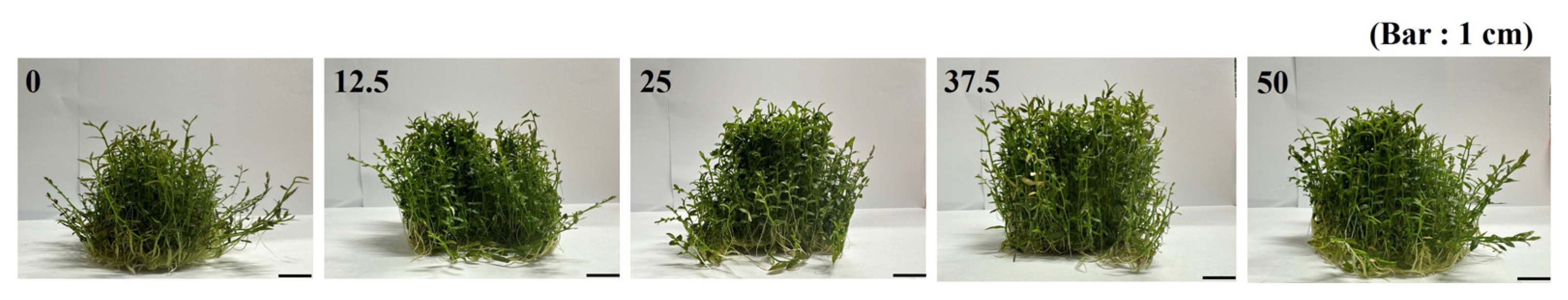 Processes 13 02370 g006