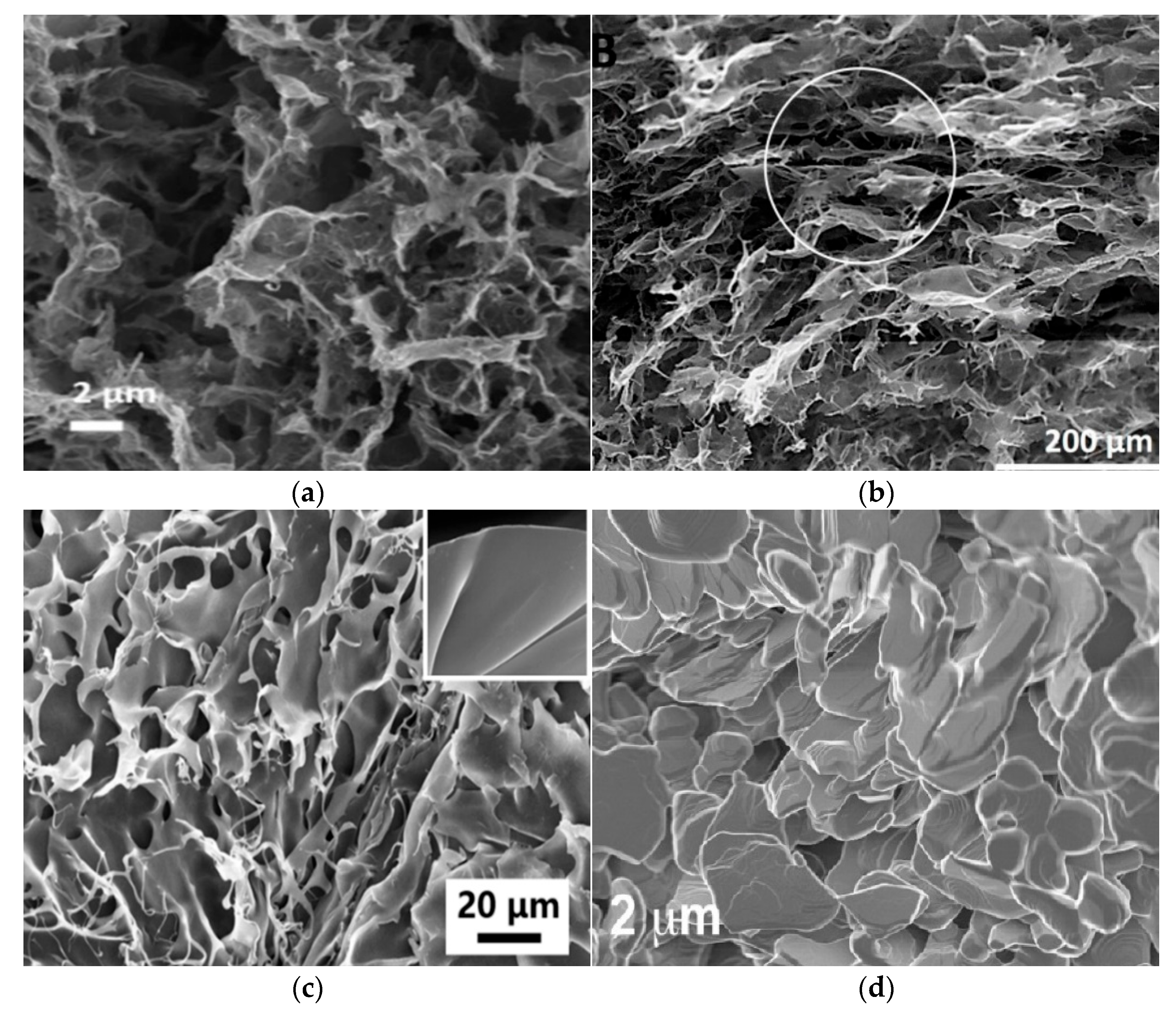 Processes 13 02375 g004