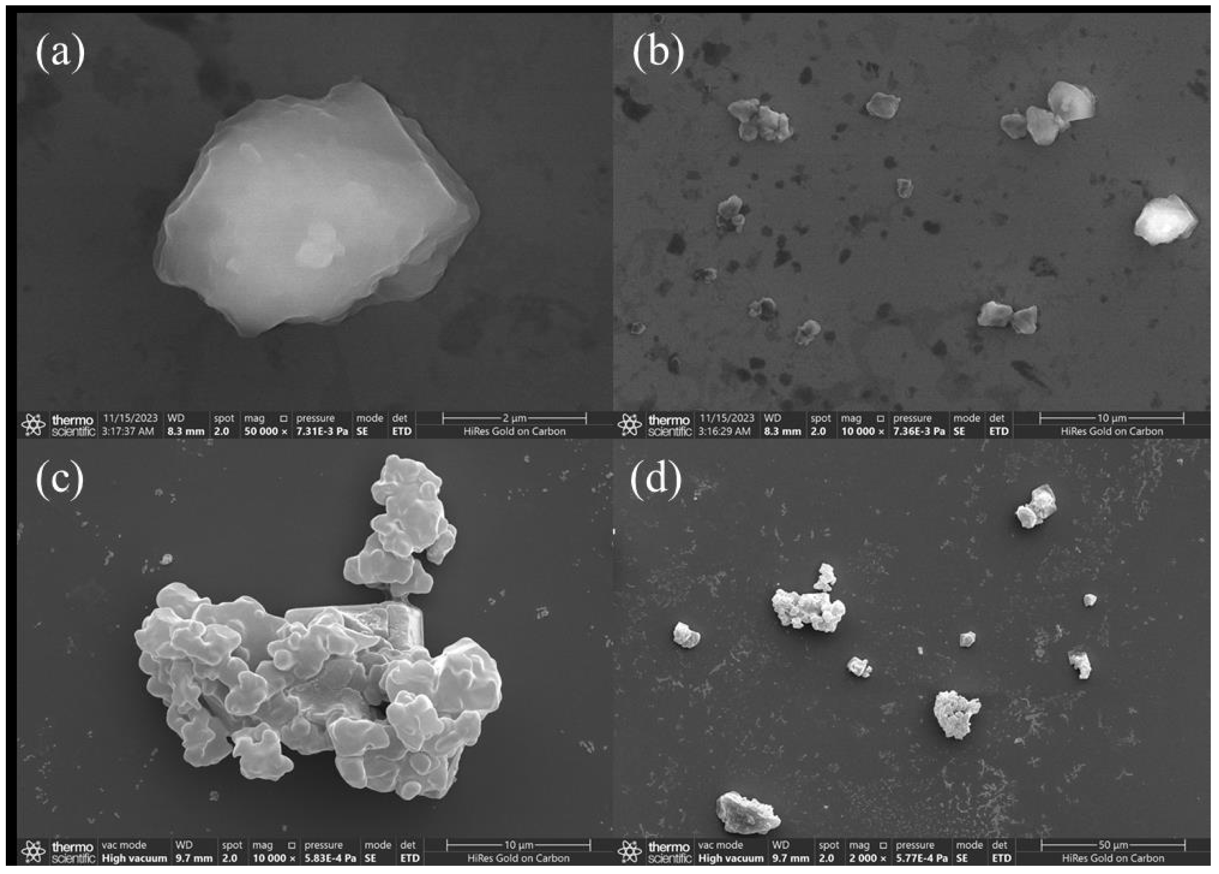 Processes 13 02383 g004