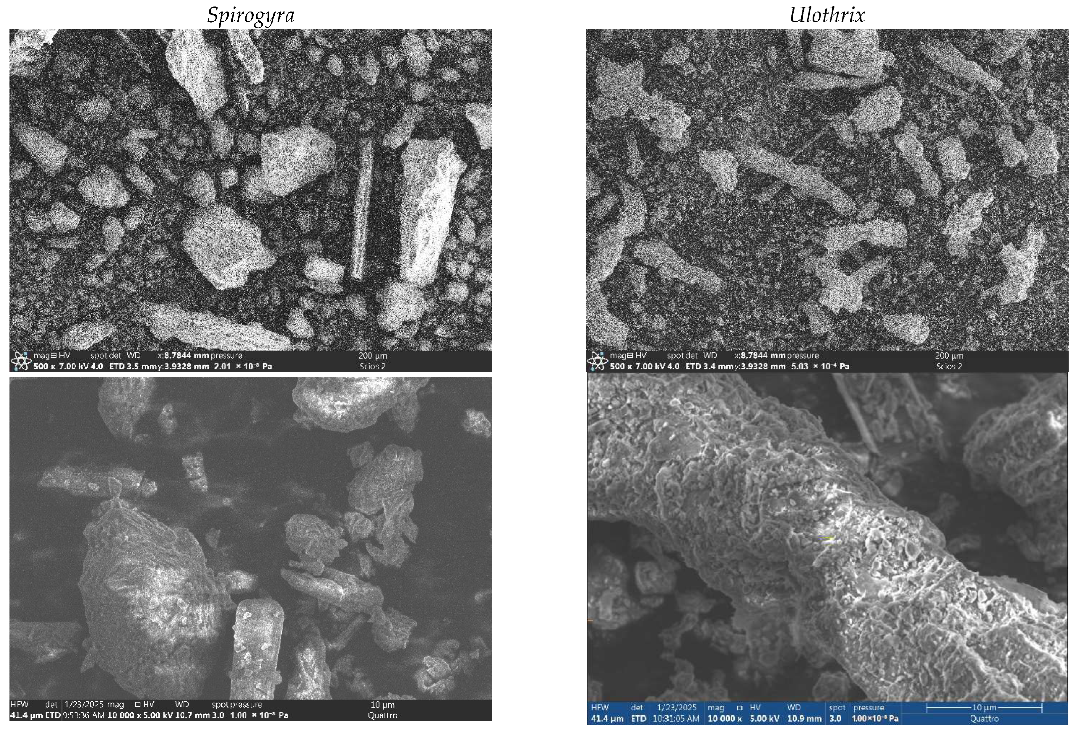 Processes 13 02408 g002