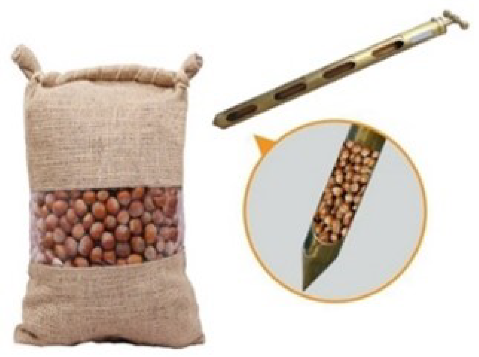 Processes 13 02414 g004 Processes 13 02414 g004