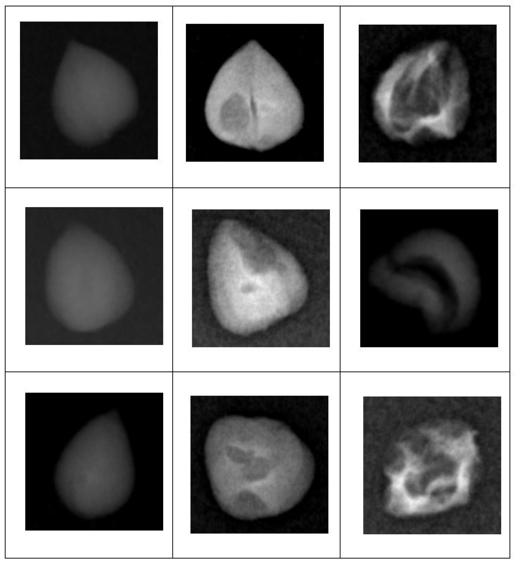 Processes 13 02414 g005 Processes 13 02414 g005