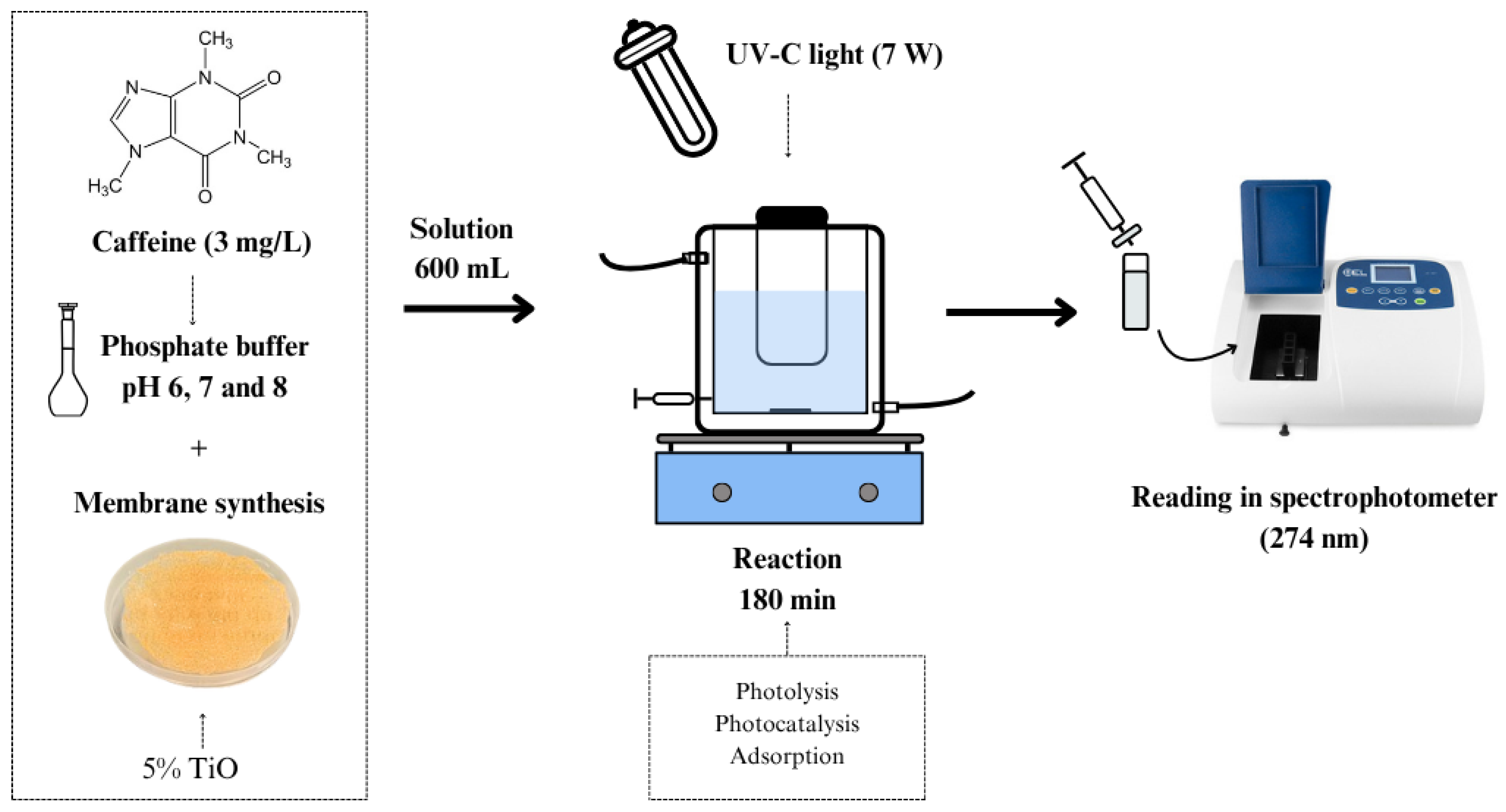 Processes 13 02439 g001 Processes 13 02439 g001