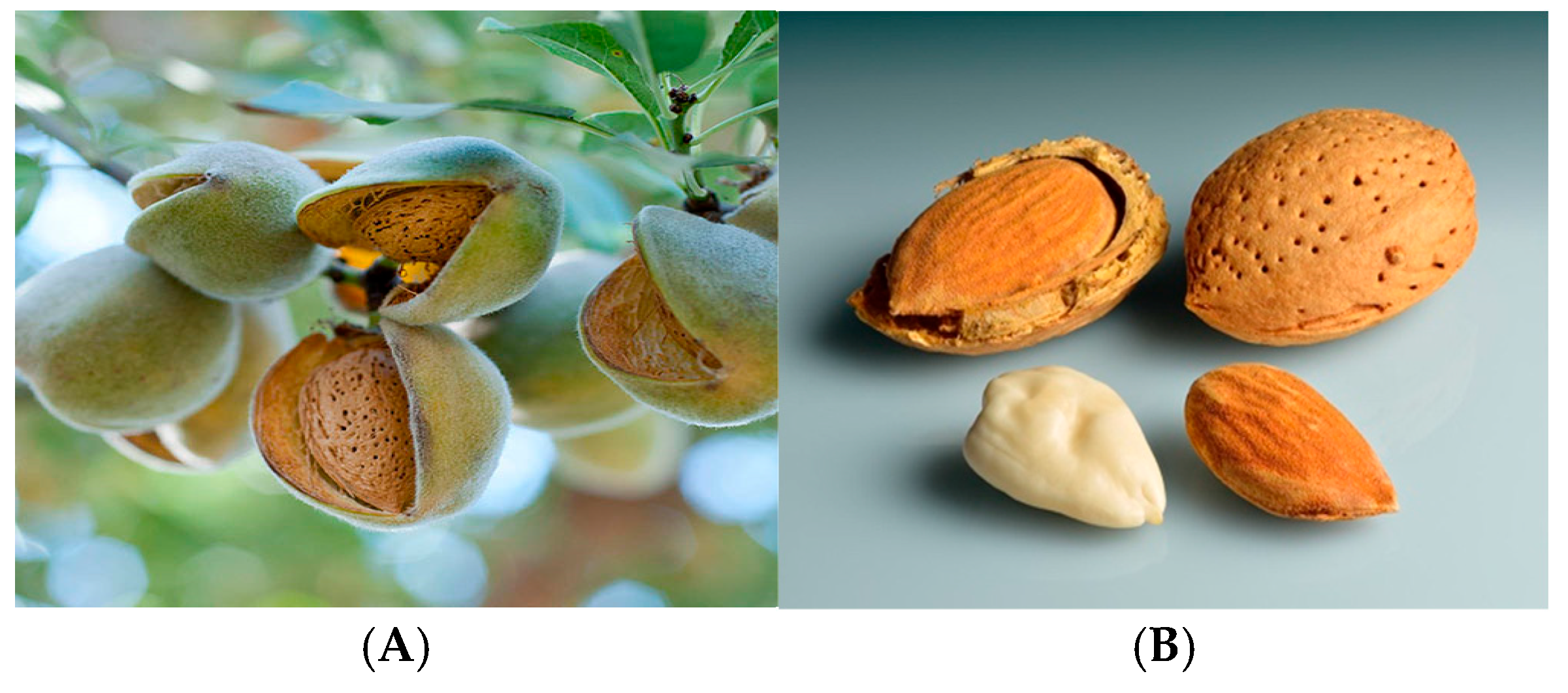 Processes 13 02444 g002