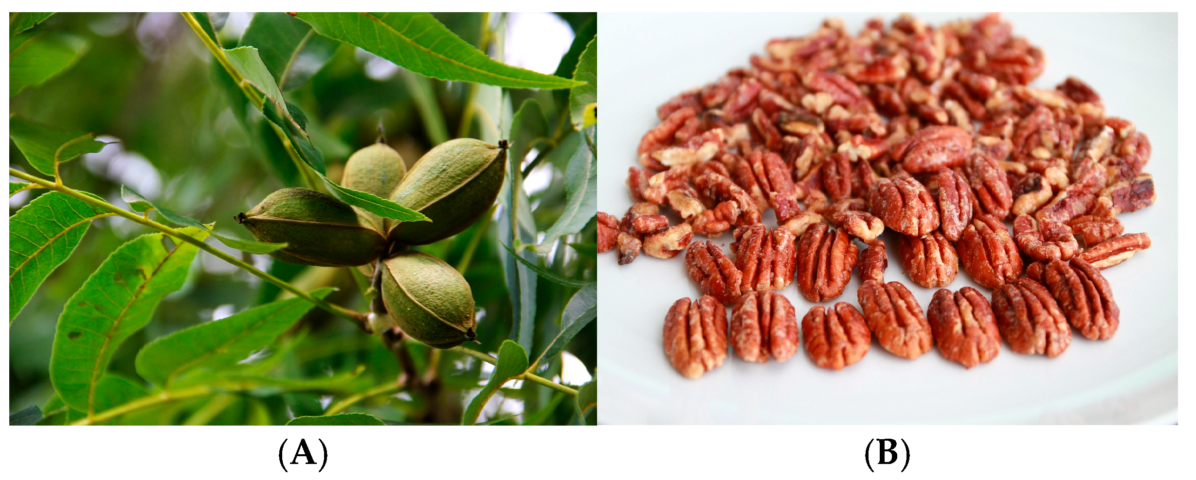 Processes 13 02444 g004