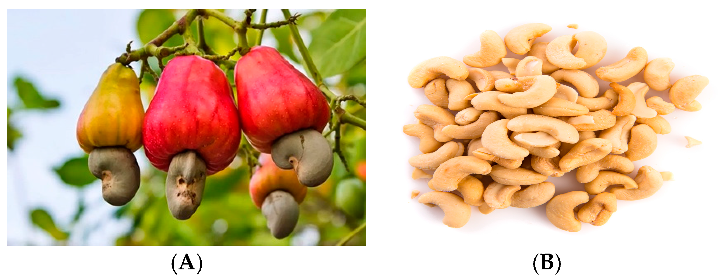 Processes 13 02444 g006