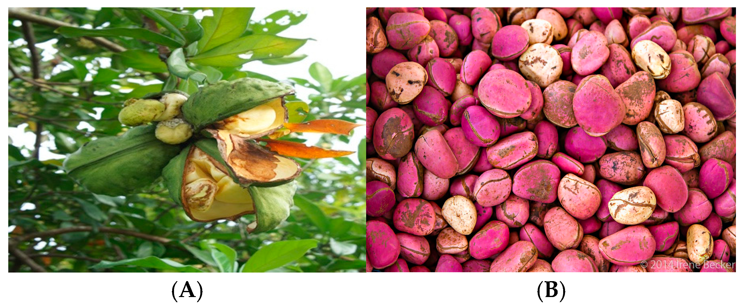 Processes 13 02444 g007