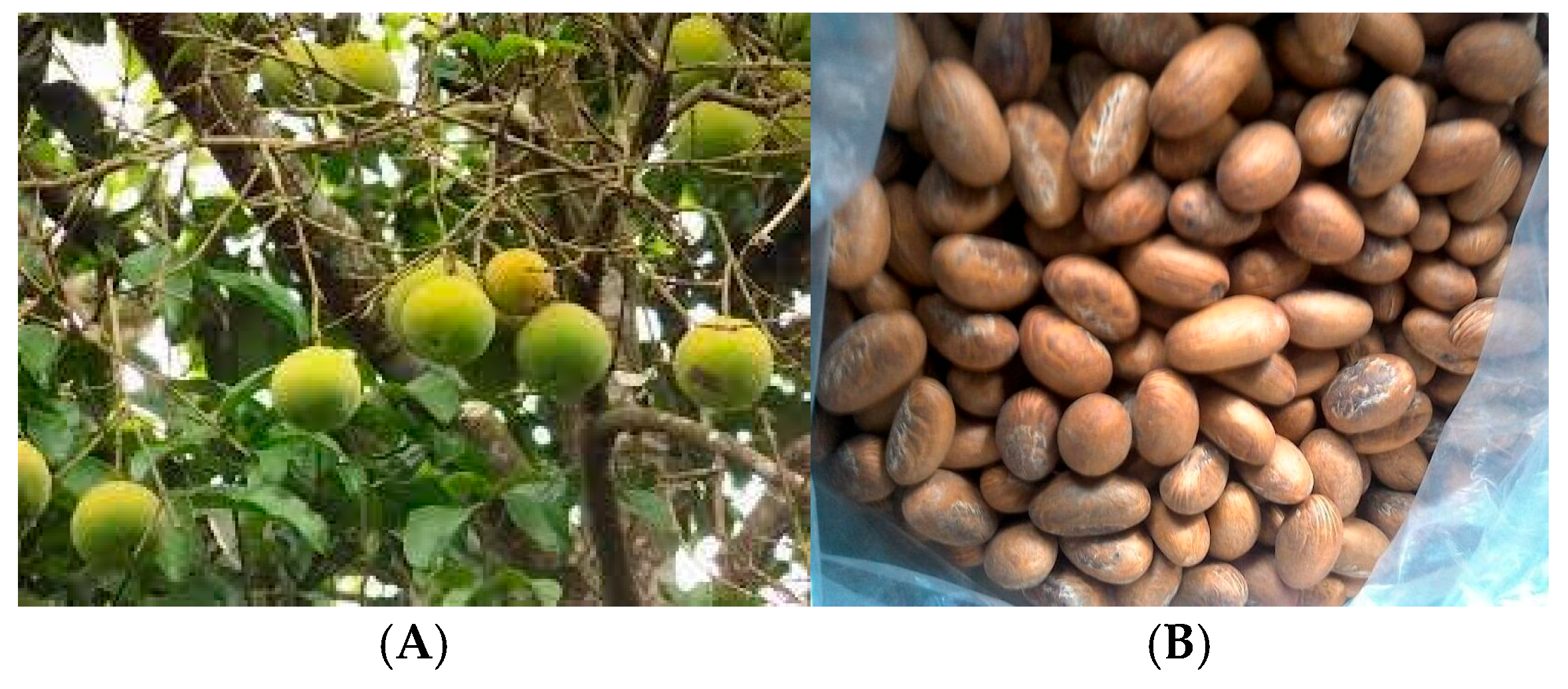 Processes 13 02444 g008