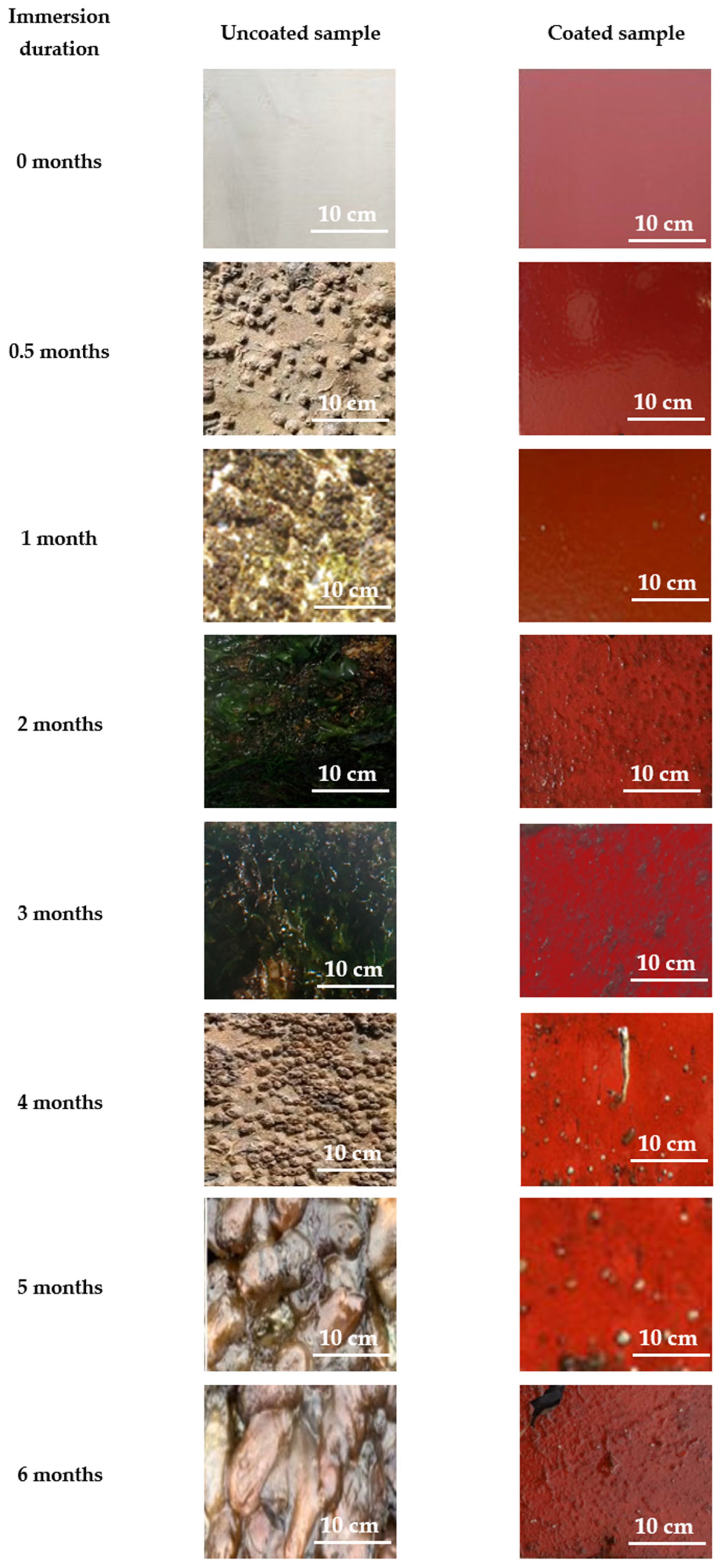 Processes 13 02448 g023