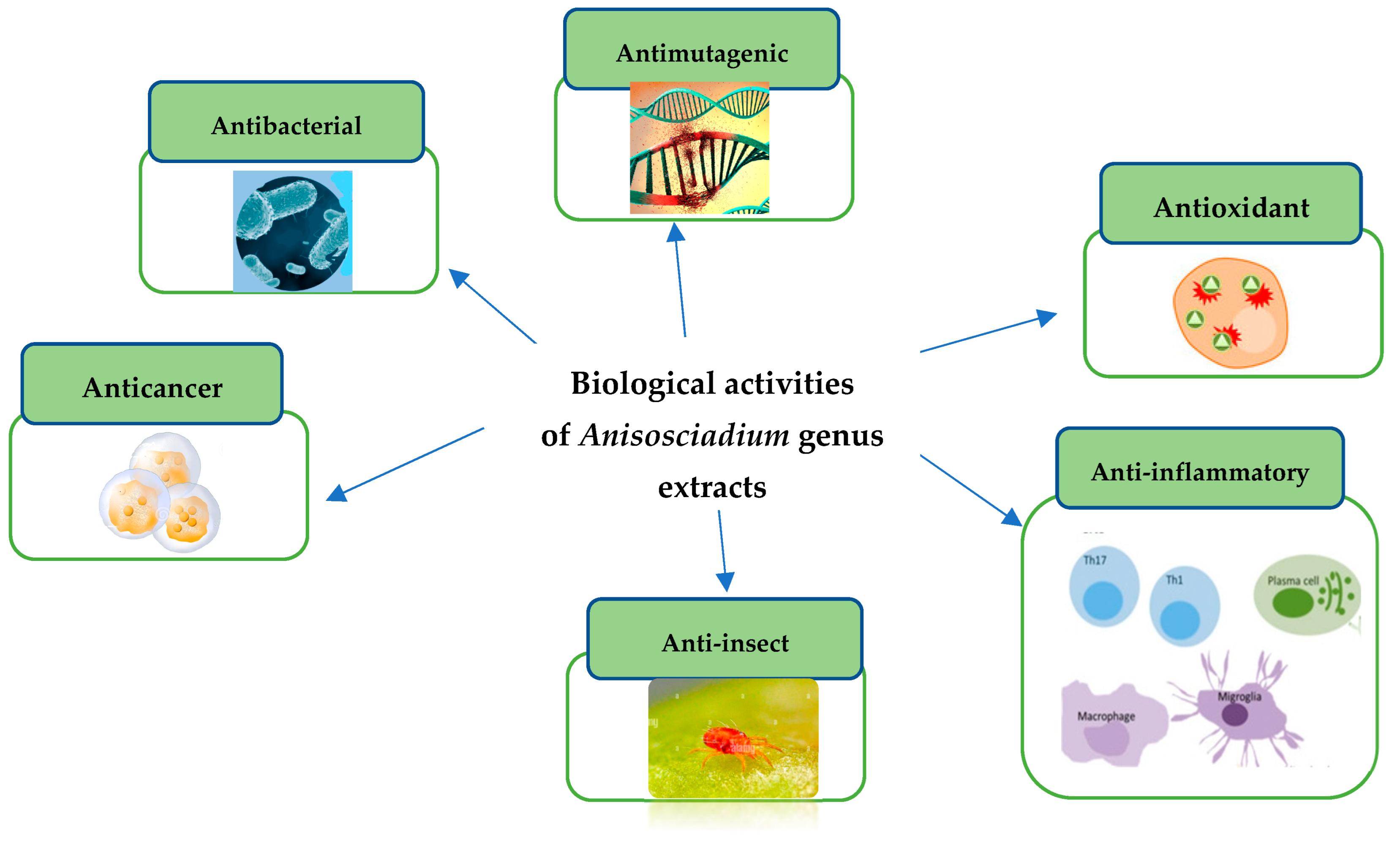 Processes 13 02475 g009 Processes 13 02475 g009