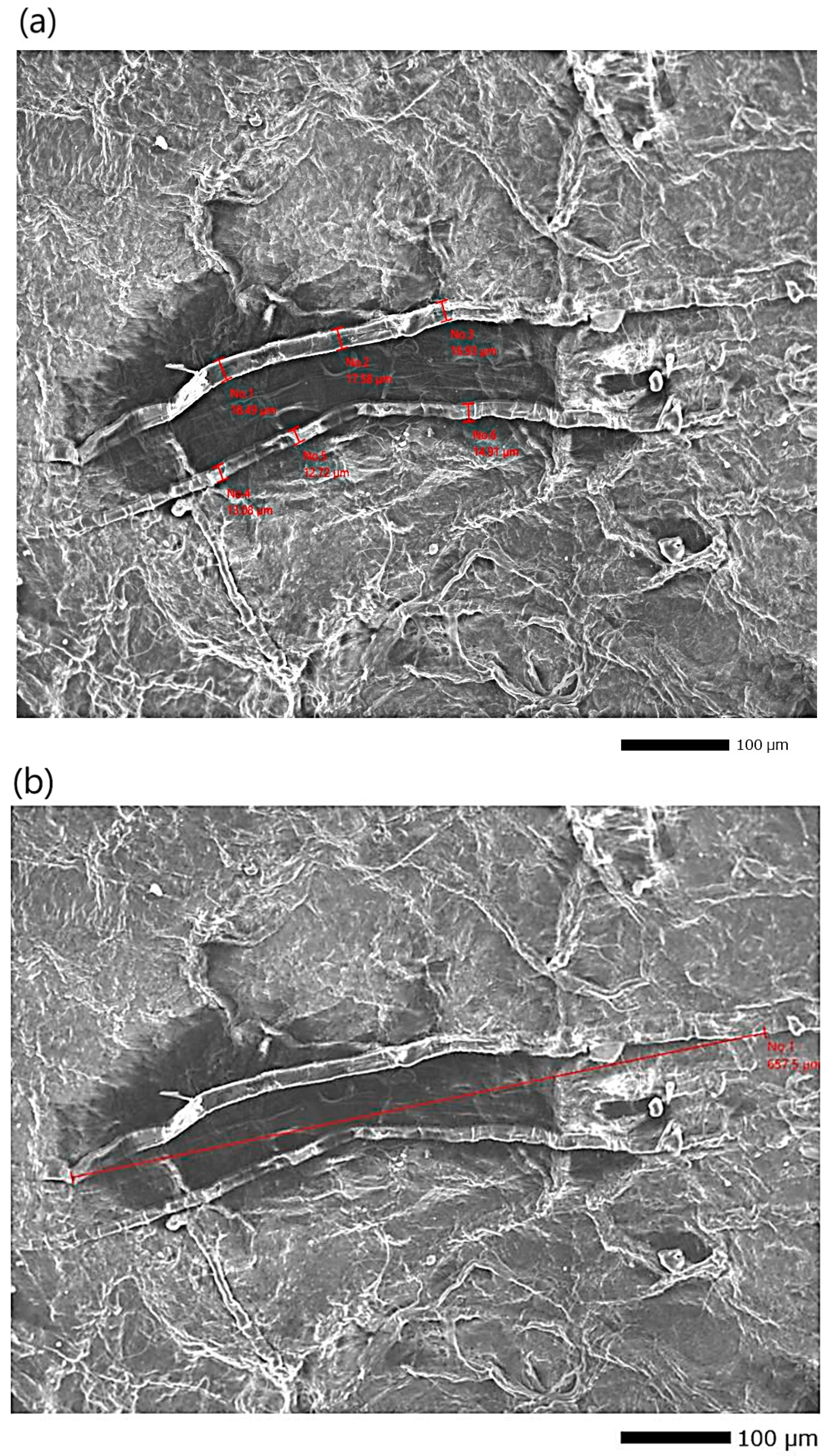 Processes 13 02476 g008