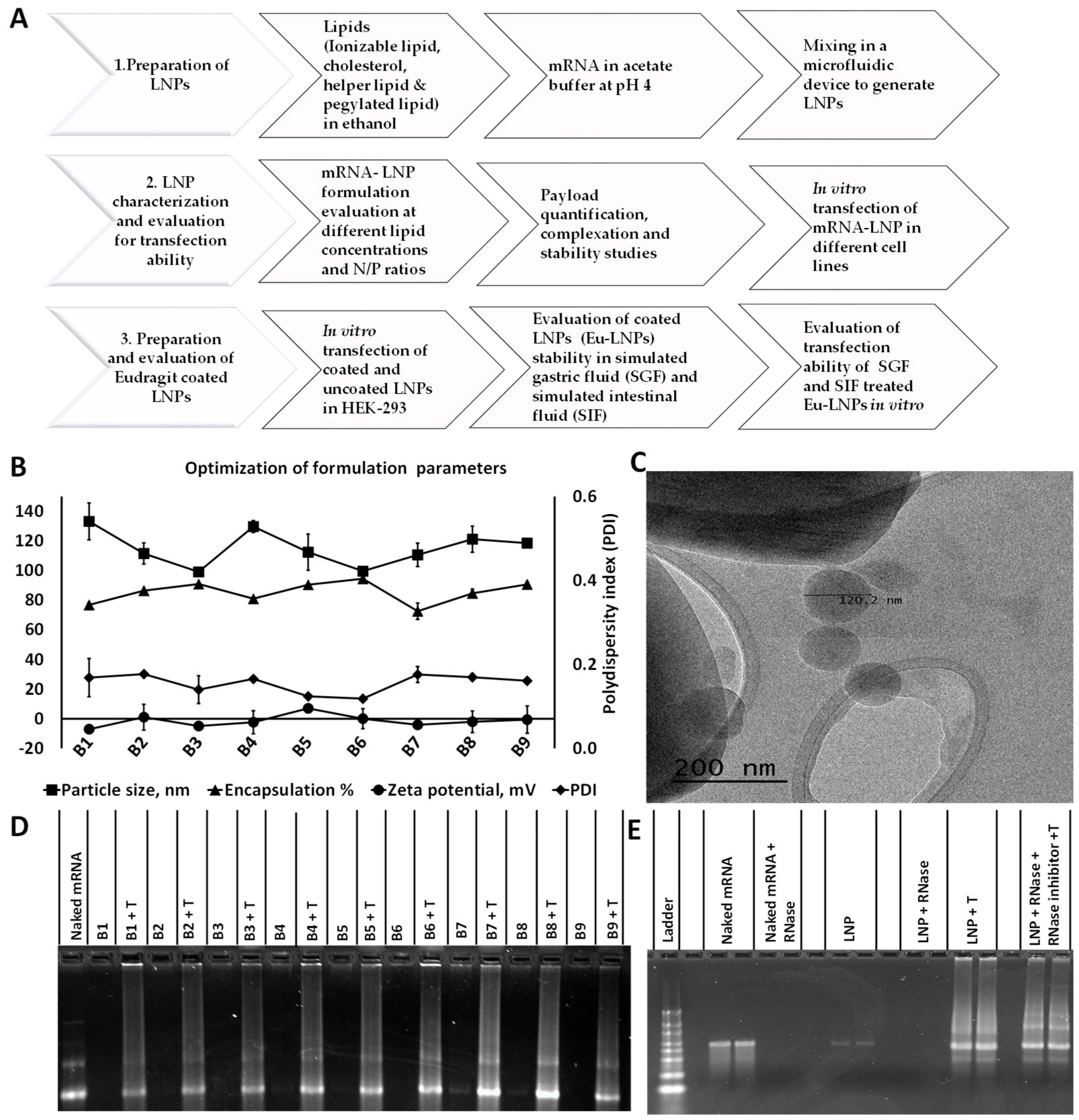 Processes 13 02477 g001 Processes 13 02477 g001