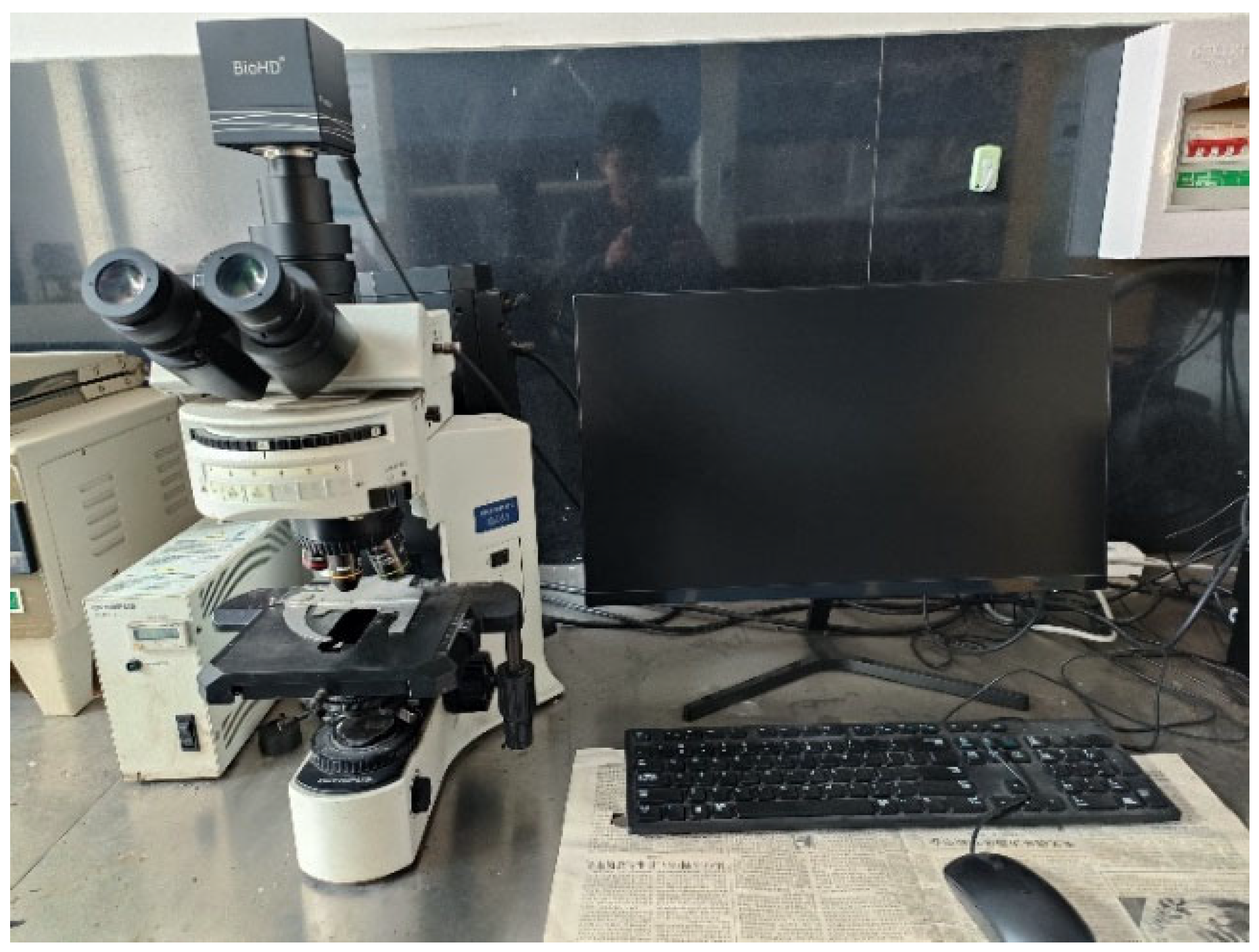 Processes 13 02485 g004