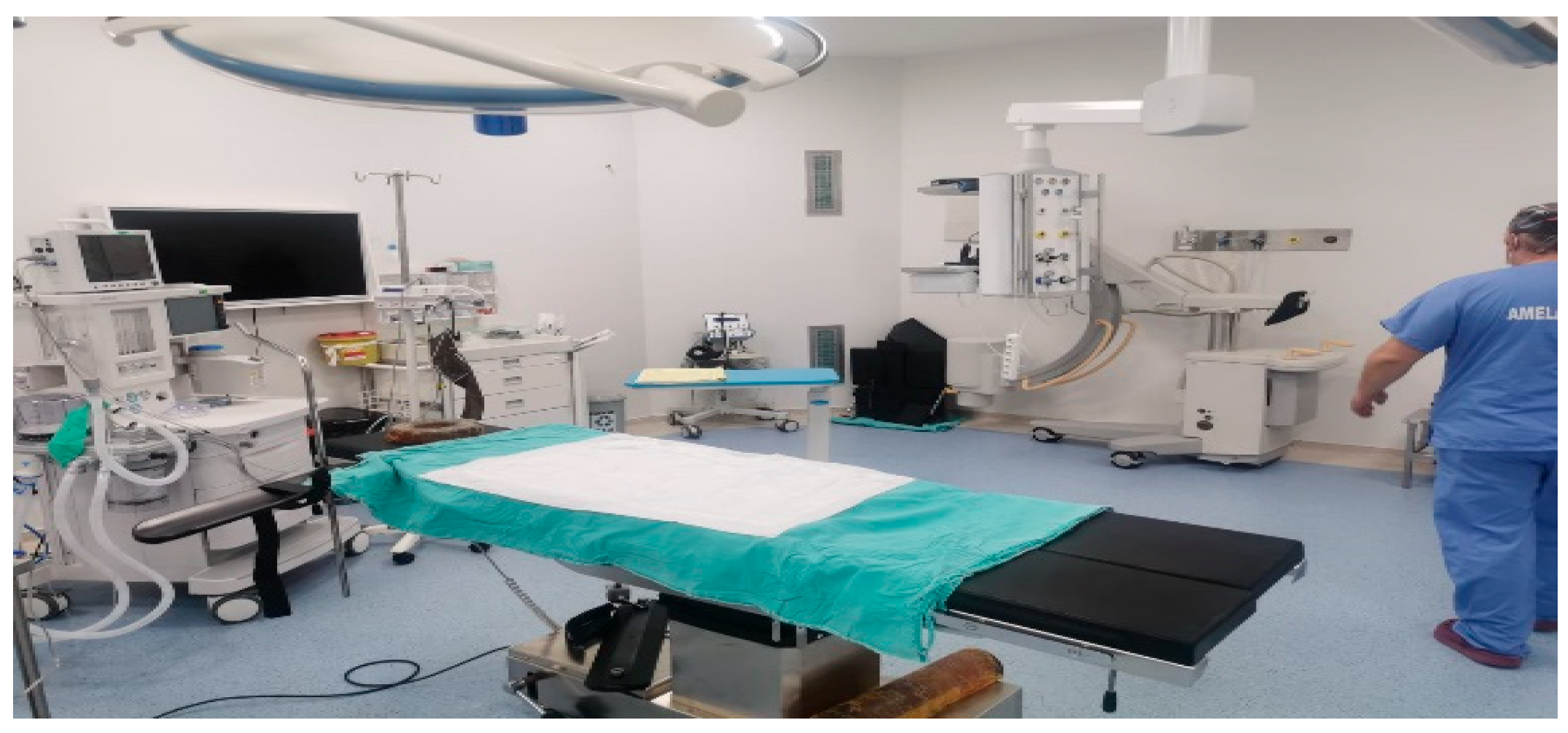 Processes 13 02507 g001