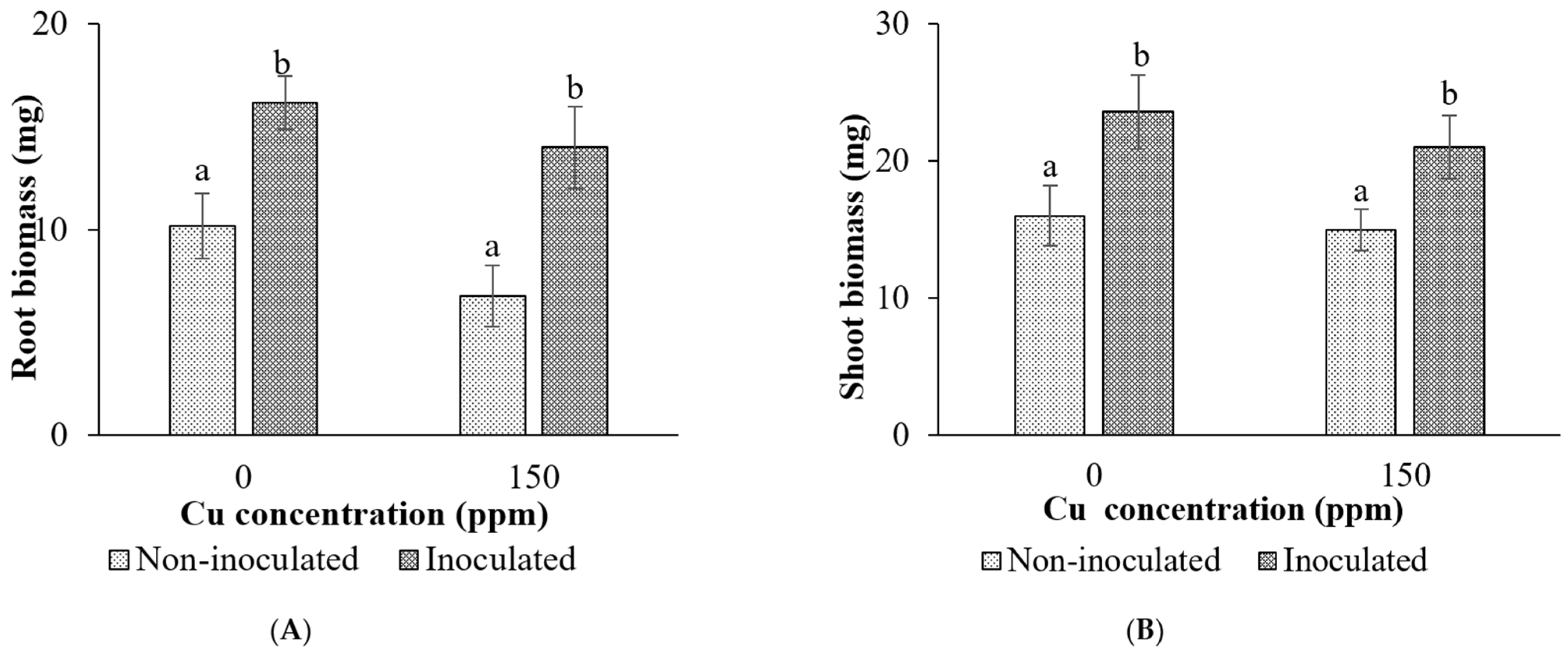 Processes 13 02509 g005