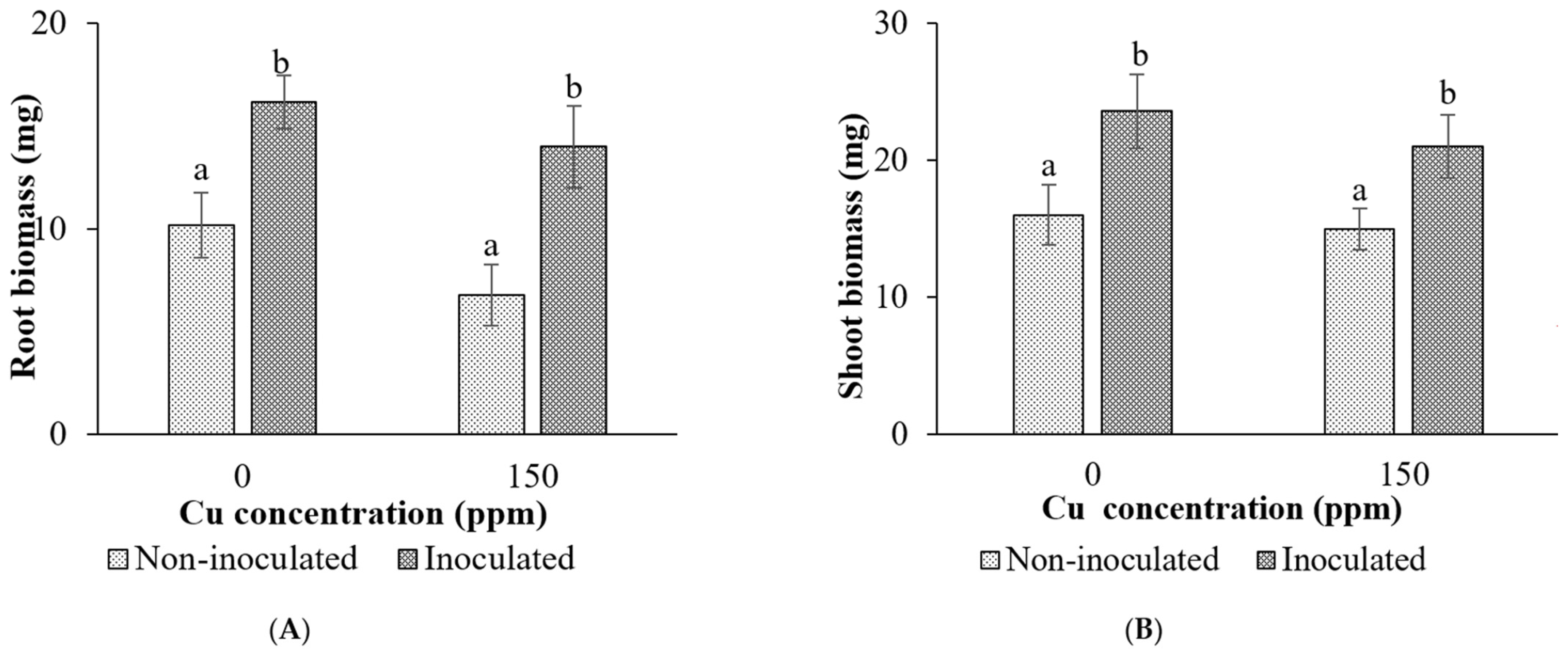 Processes 13 02509 g006