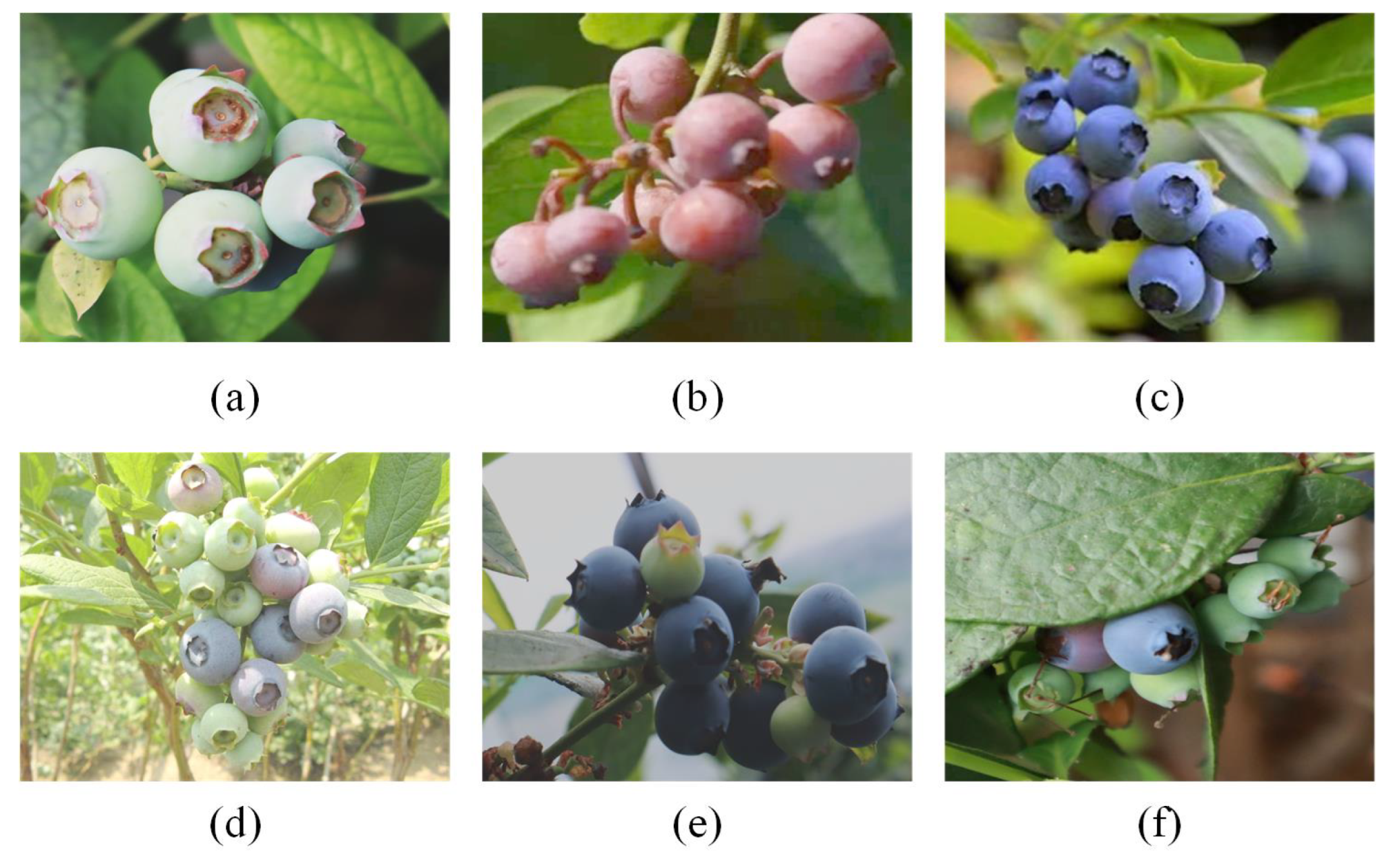 Processes 13 02518 g001