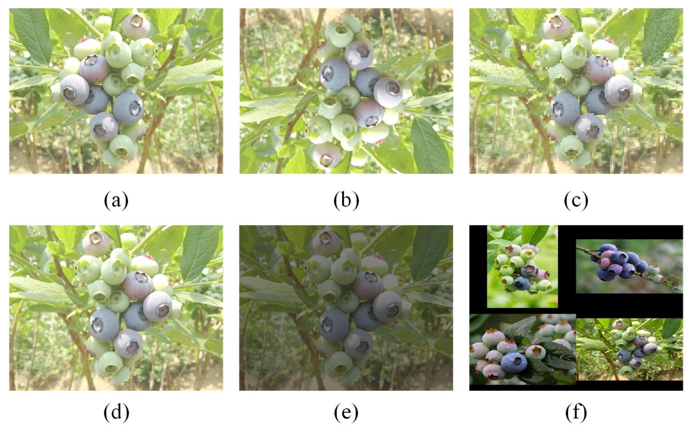 Processes 13 02518 g002