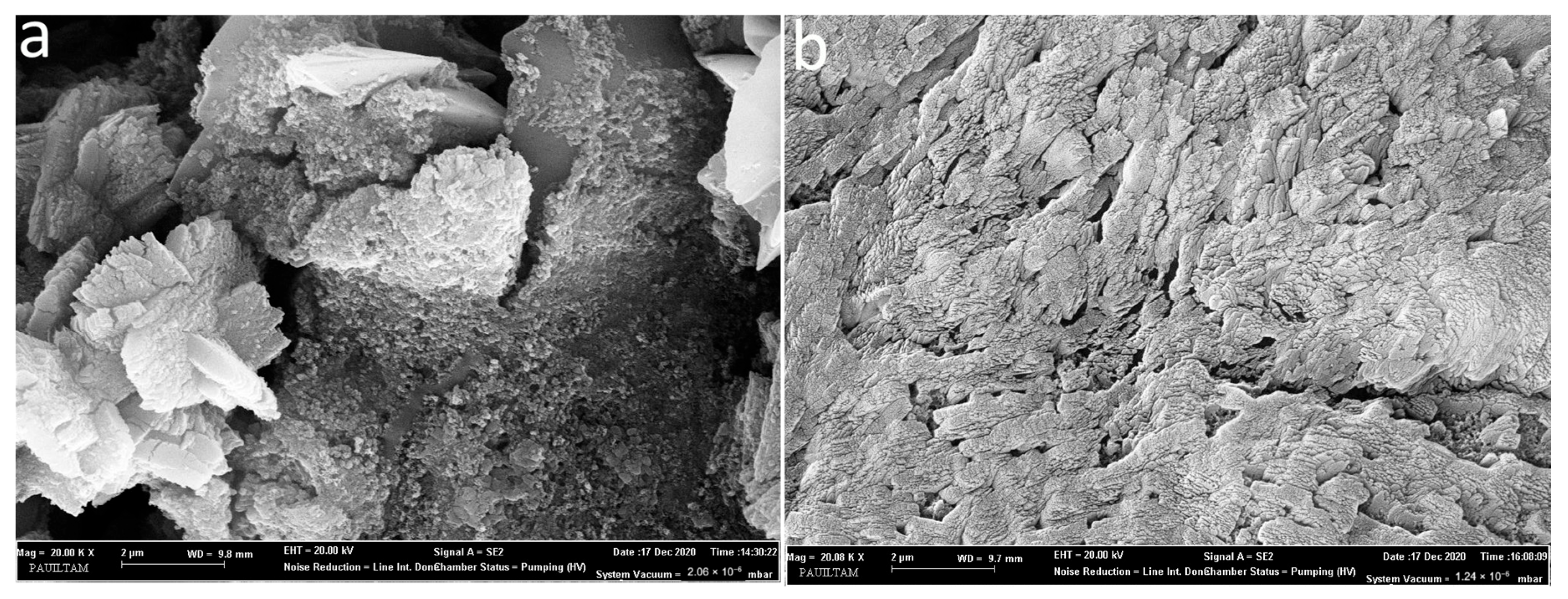 Processes 13 02528 g004