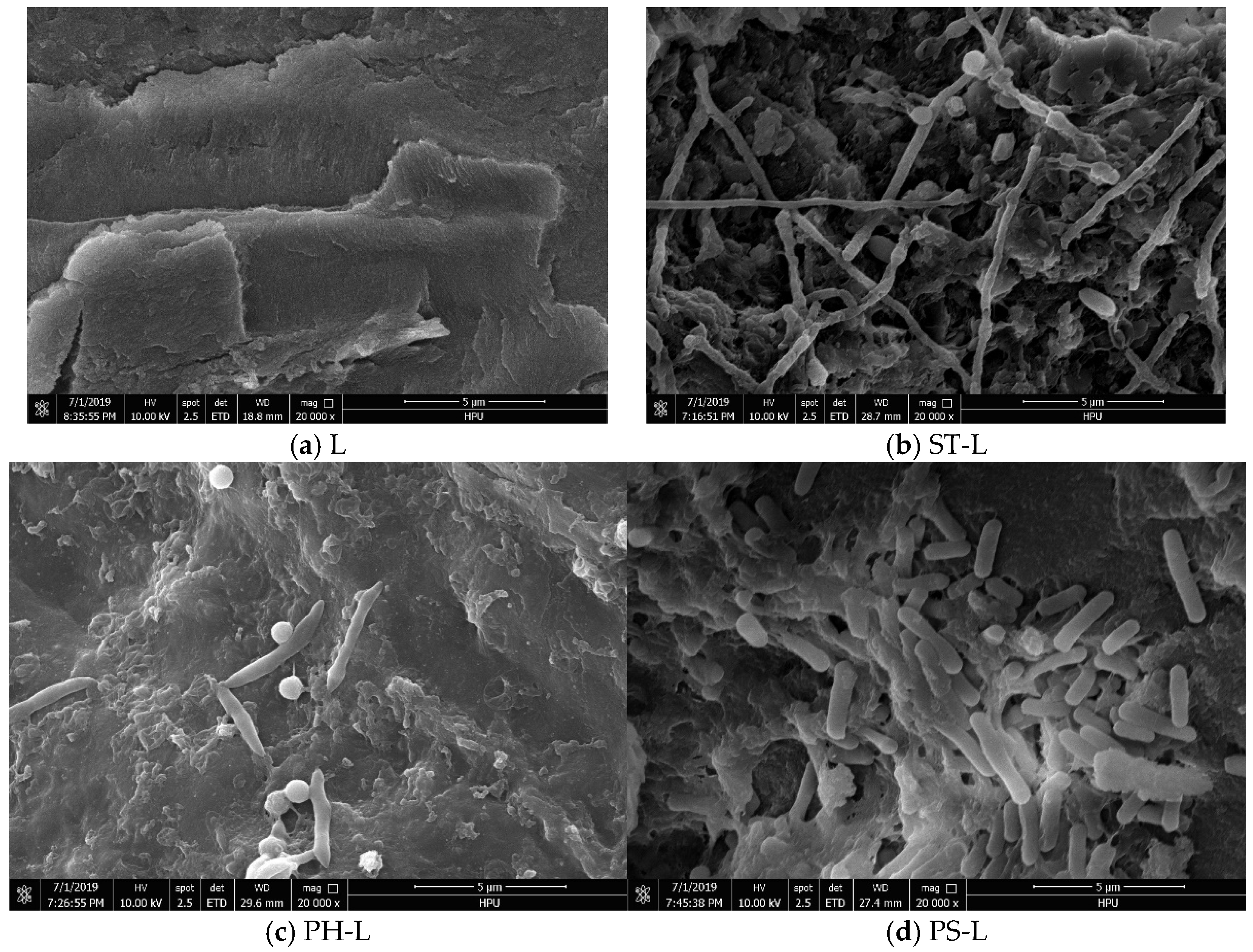 Processes 13 02581 g004 Processes 13 02581 g004