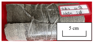 Processes 13 02613 i005 Processes 13 02613 i005