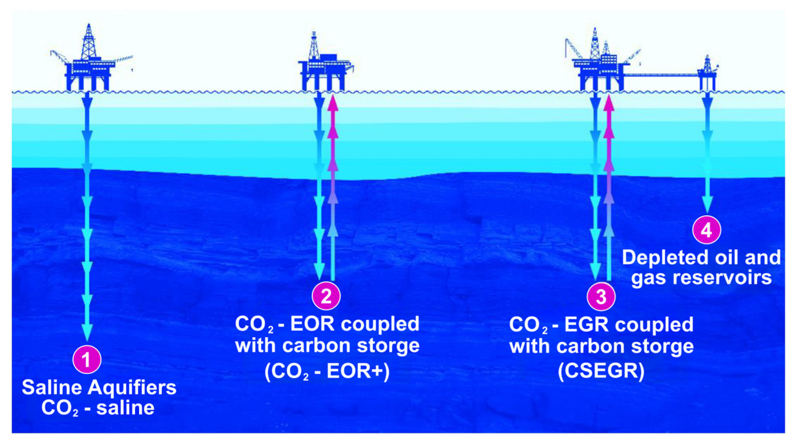 Processes 13 02658 g001