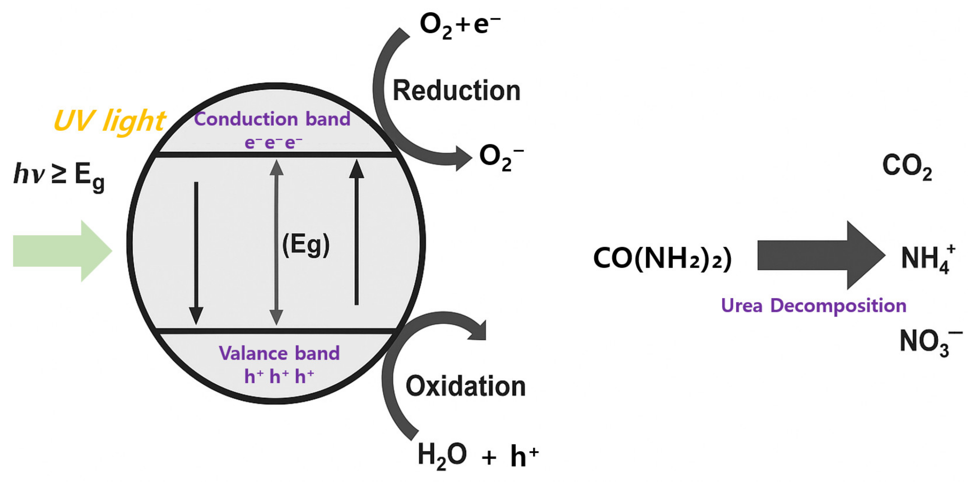 Processes 13 02660 g007 Processes 13 02660 g007