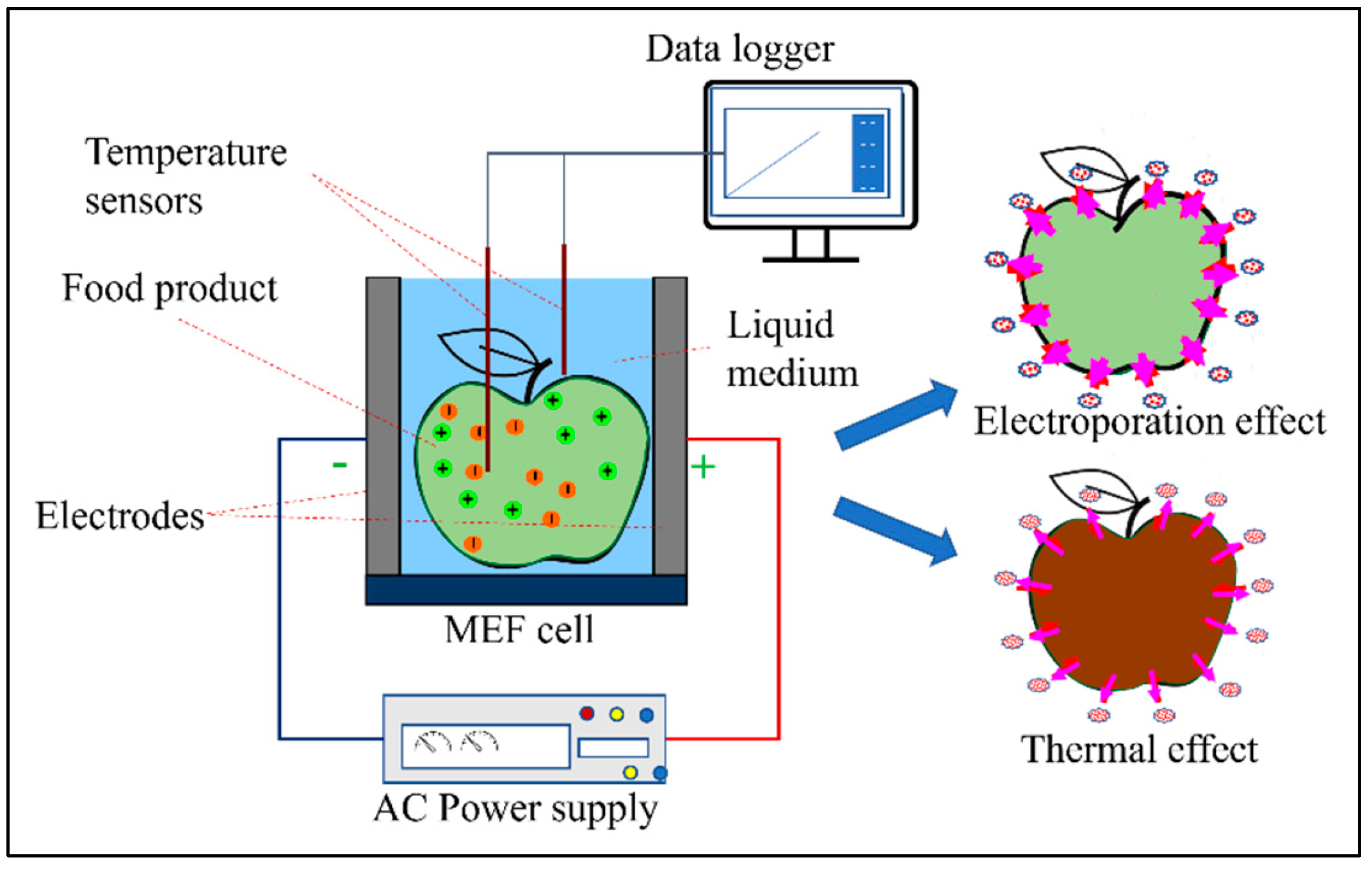 Processes 13 02662 g001 Processes 13 02662 g001