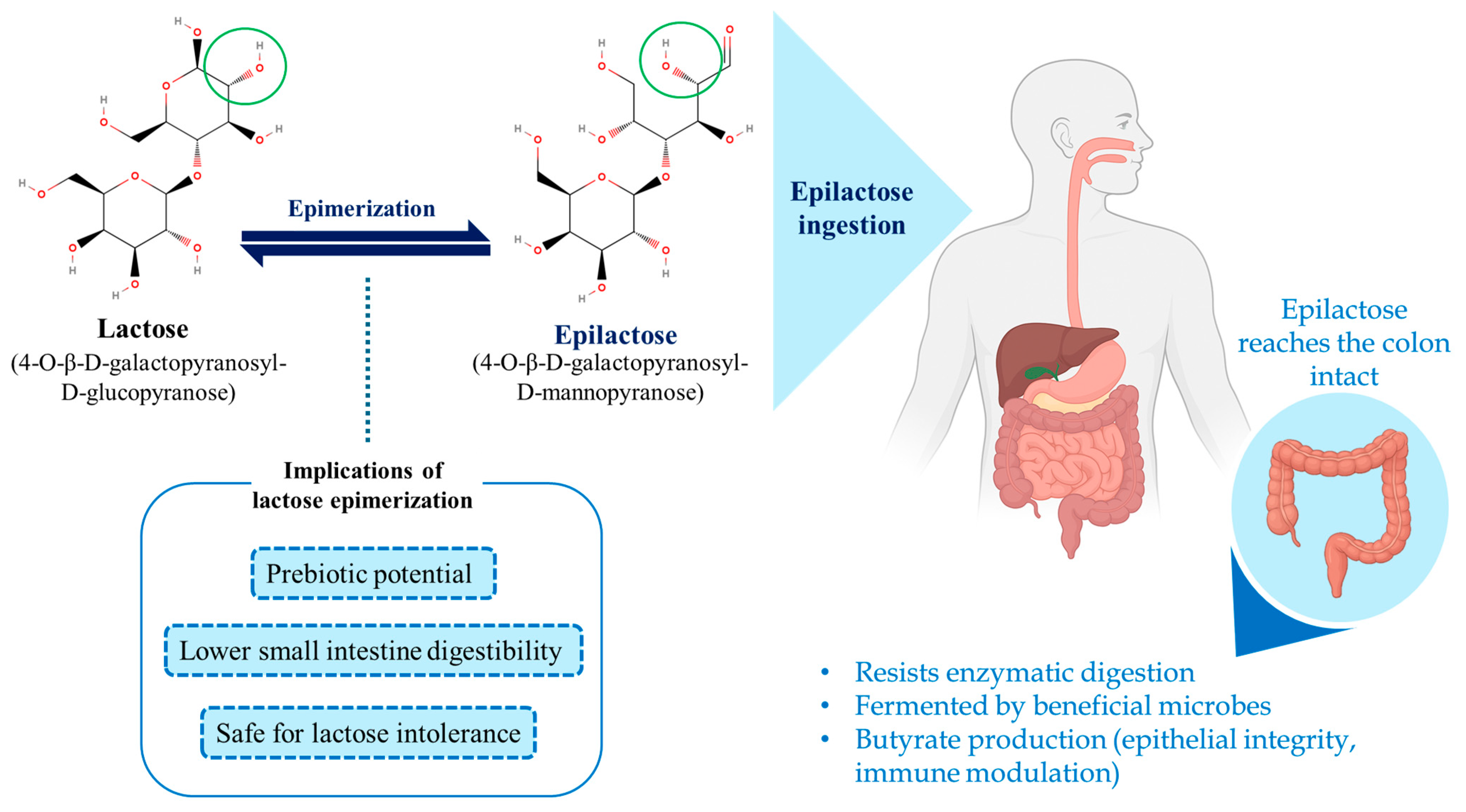 Processes 13 02671 g001