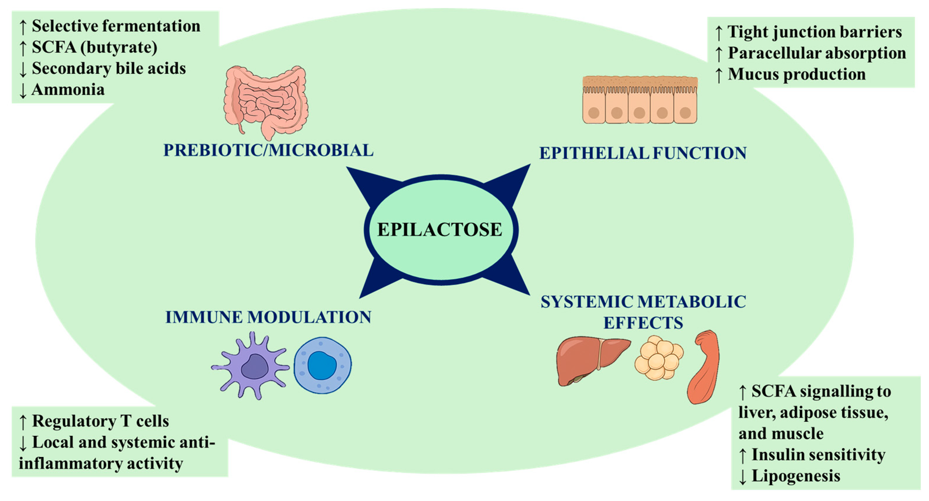 Processes 13 02671 g002