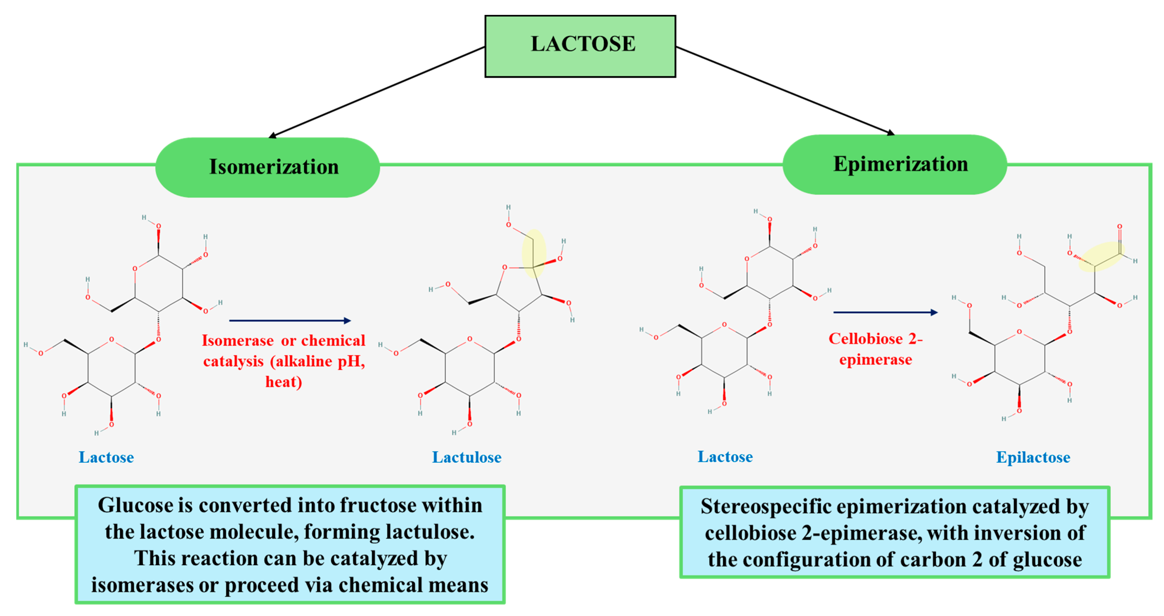 Processes 13 02671 g003
