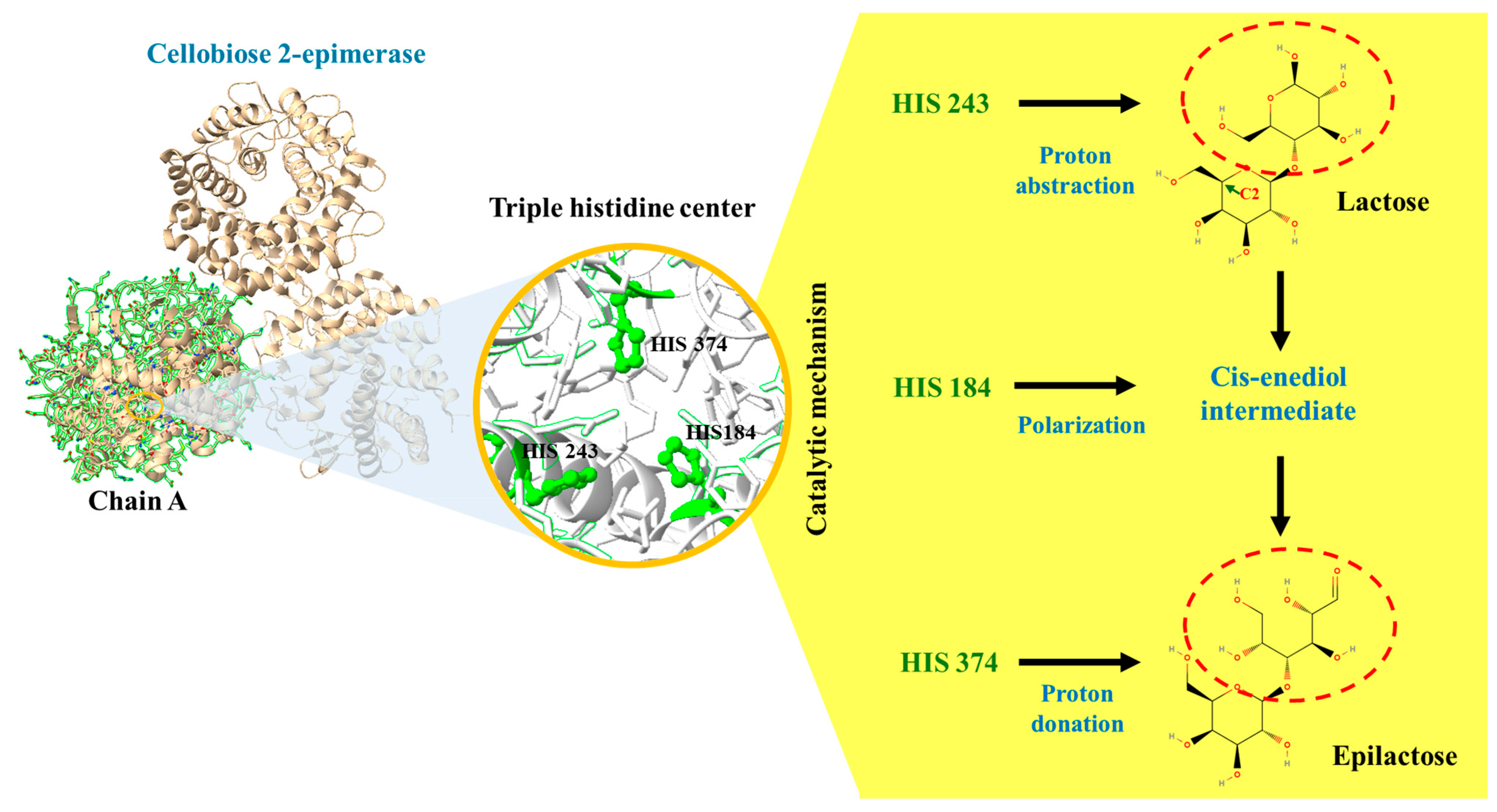 Processes 13 02671 g004