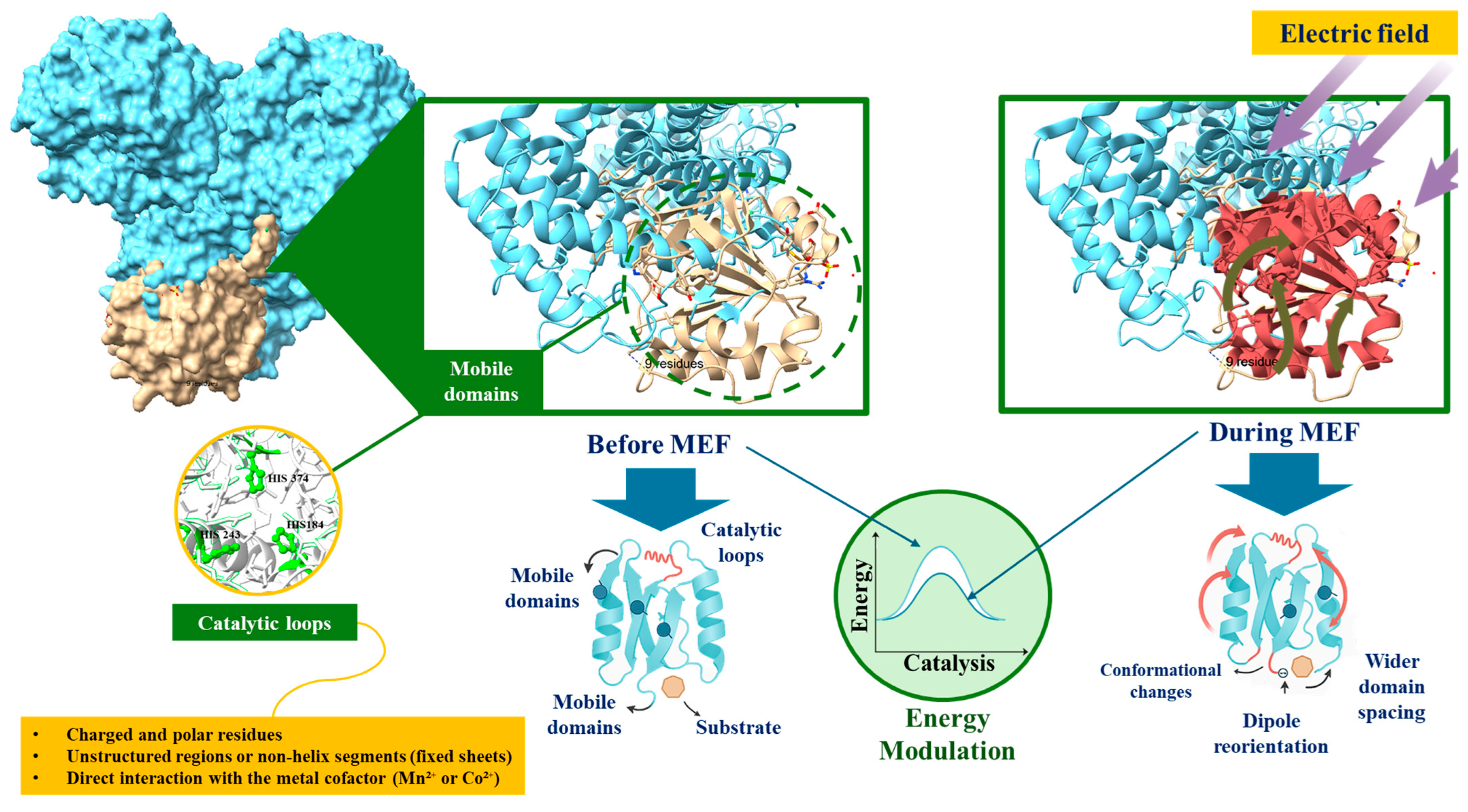 Processes 13 02671 g005
