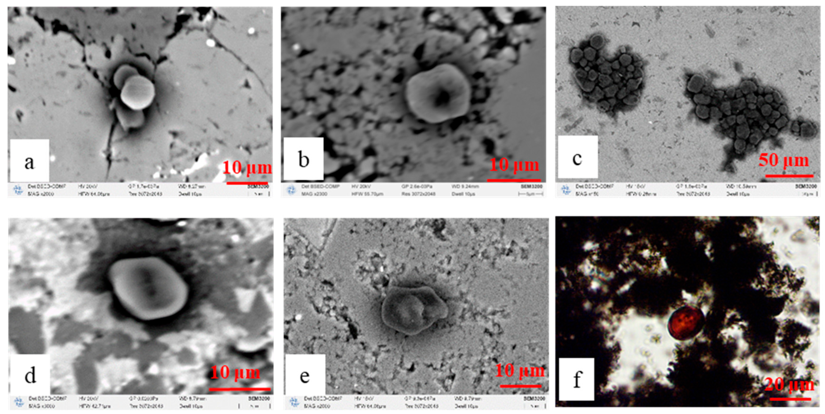 Processes 13 02673 g004